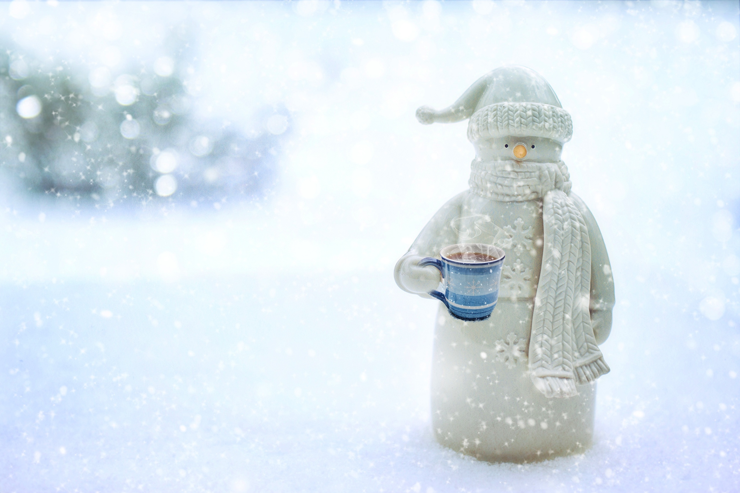 Christmas Mug Snow Snowflake Snowman Toy Winter 2560x1707