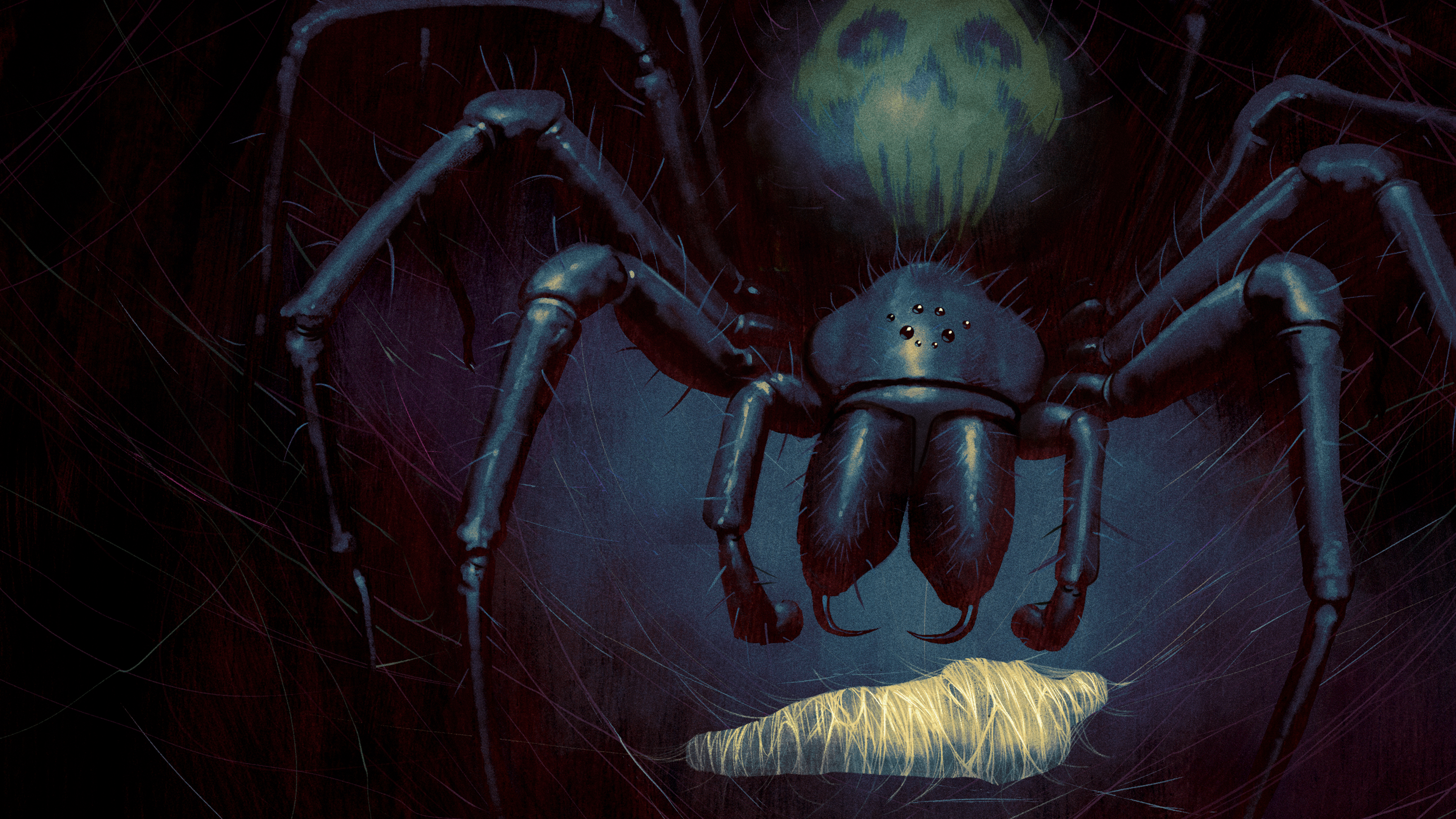 Illustration Spider Creature Creepy Animals Insect Horror Artwork 3840x2160