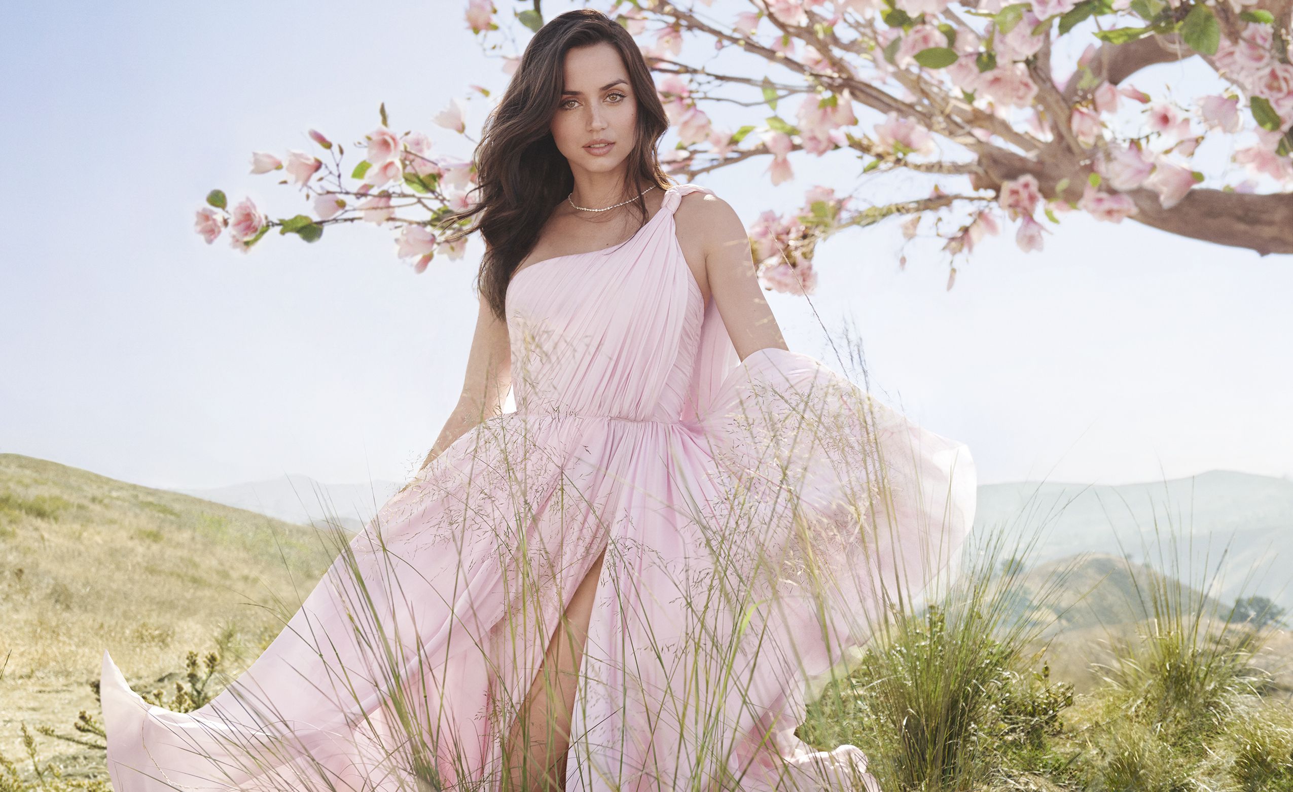 Ana De Armas Actress Brunette Green Eyes Looking At Viewer Women Pink Dress Flowers Women Outdoors 2550x1562