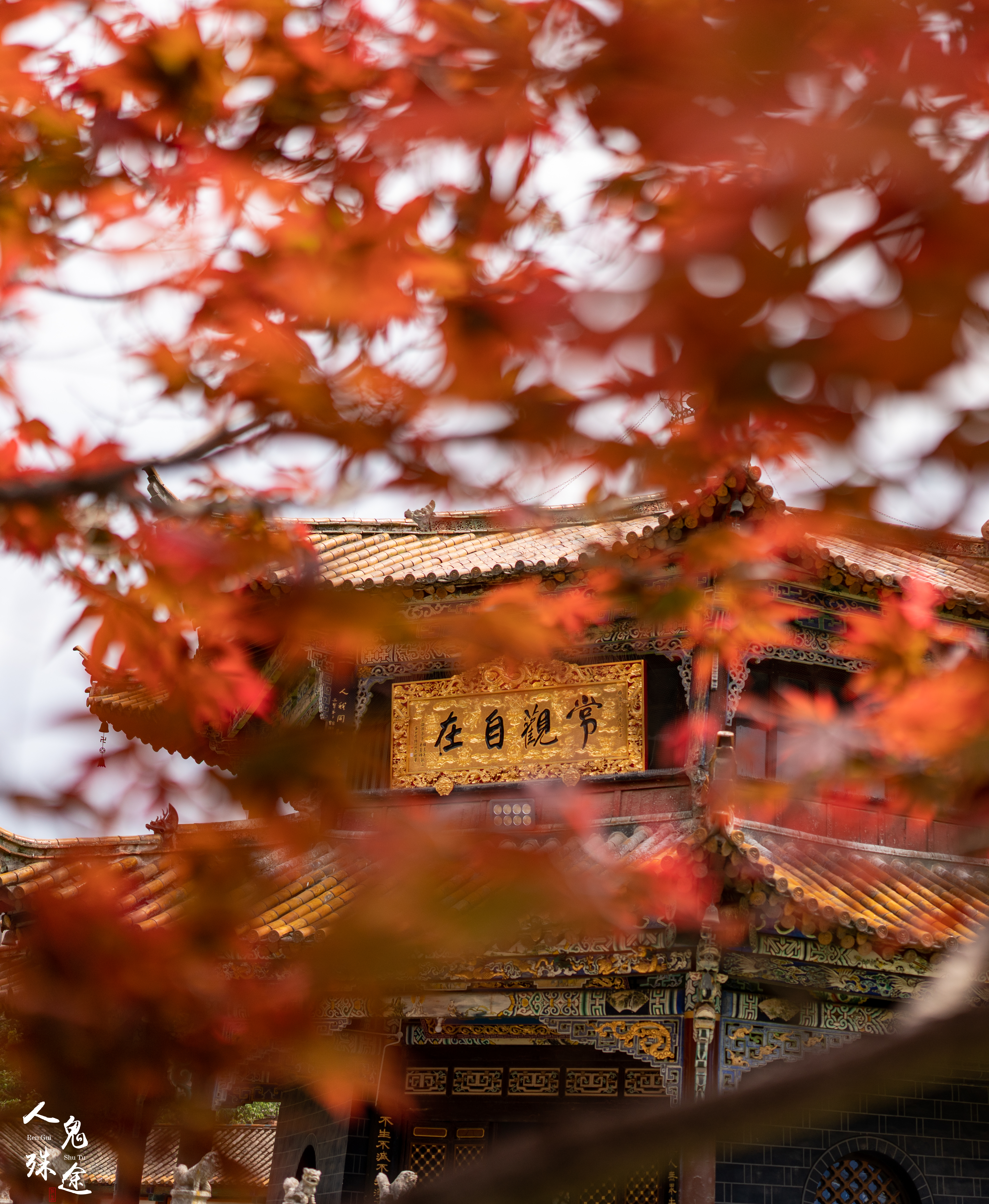 Temple Trees Asian Architecture Fall Leaves Portrait Display 4357x5304