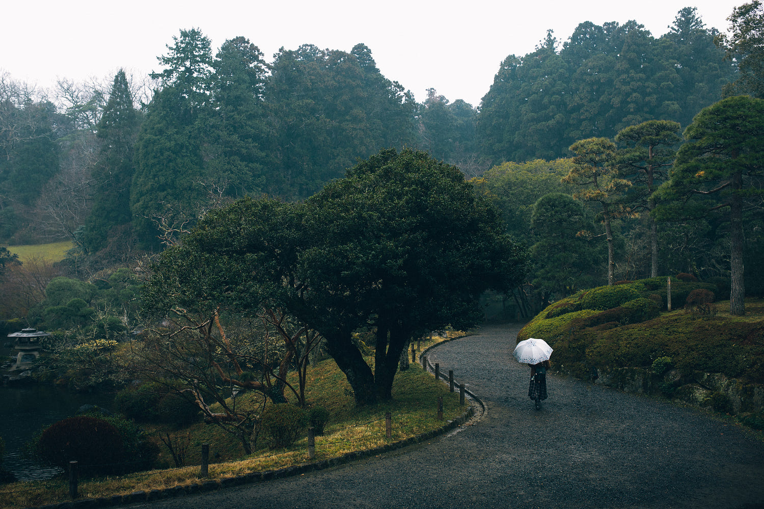 Film Grain Green Japan Forest Trees Landscape Umbrella People Alone 1500x1000