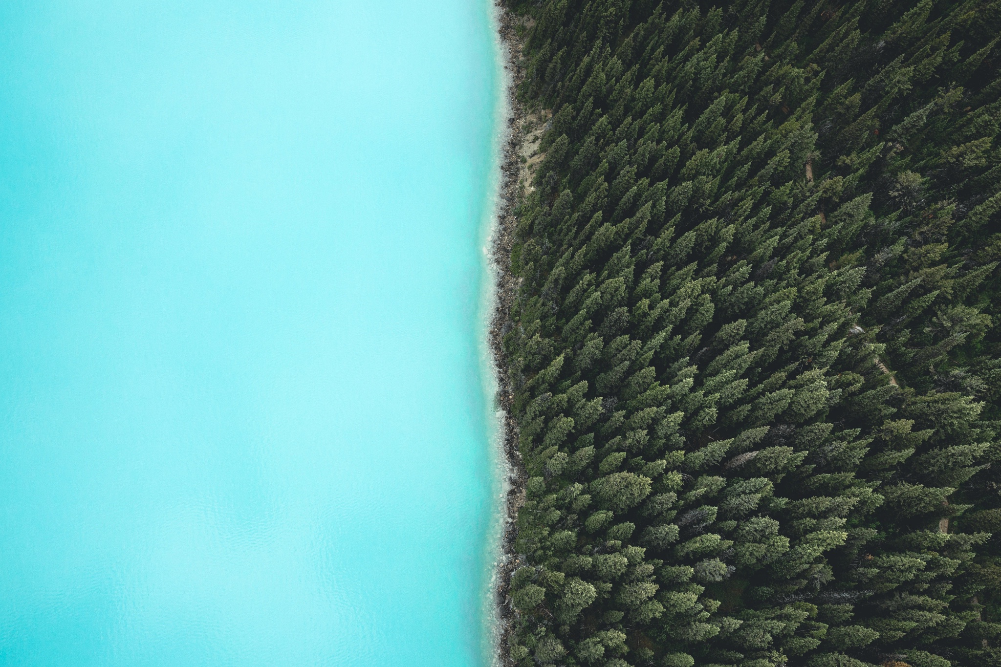 Forest Aerial Turquoise 2048x1365