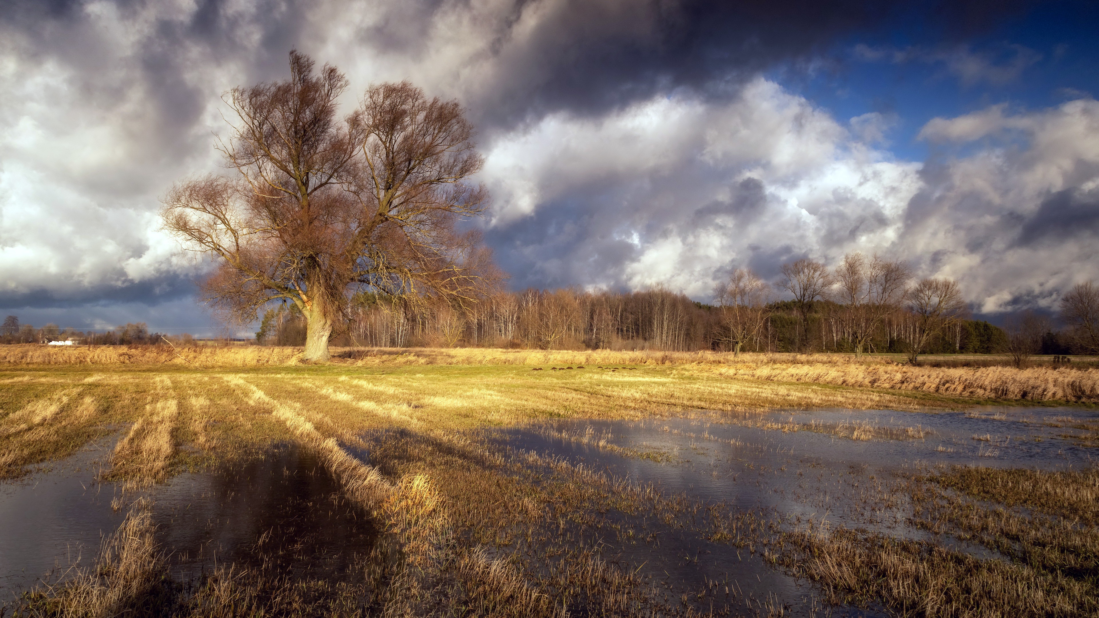 Outdoors Landscape Field Fall Clouds Water Trees Nature 3840x2160