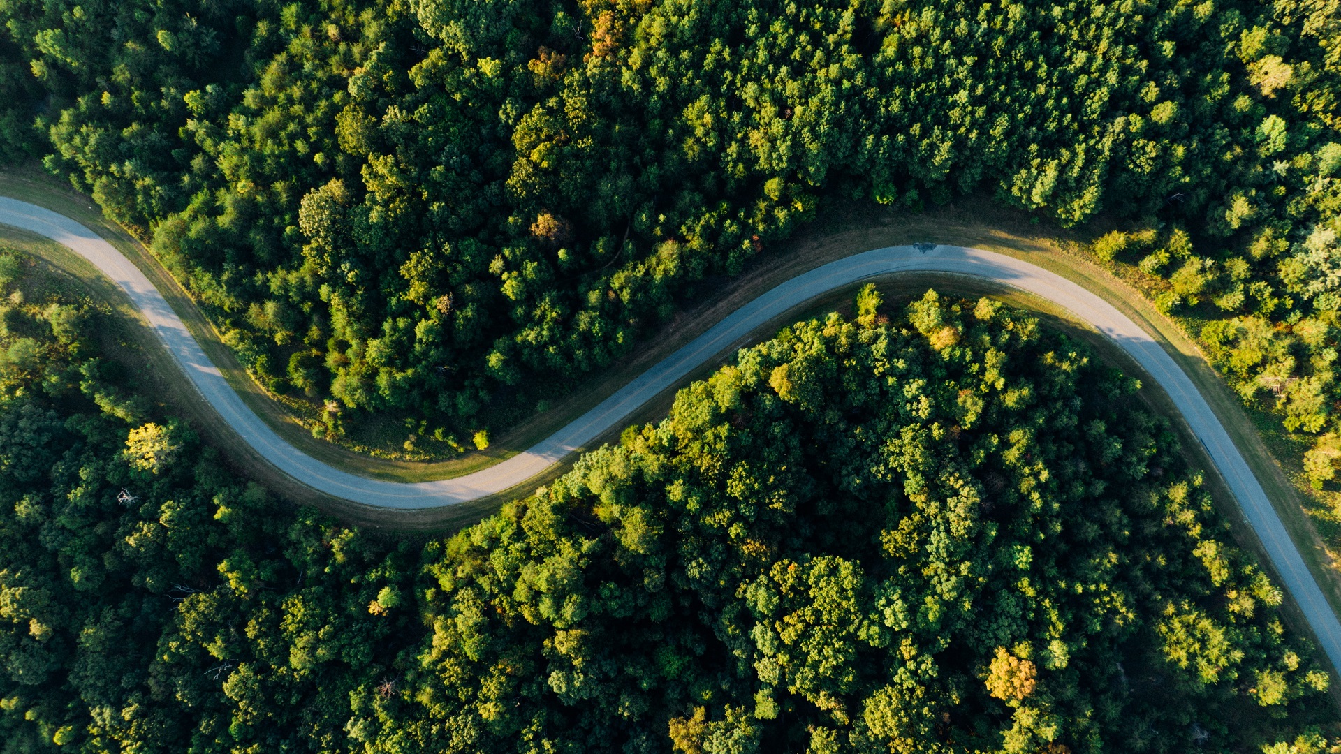 Nature Trees Forest Road Aerial View 1920x1080