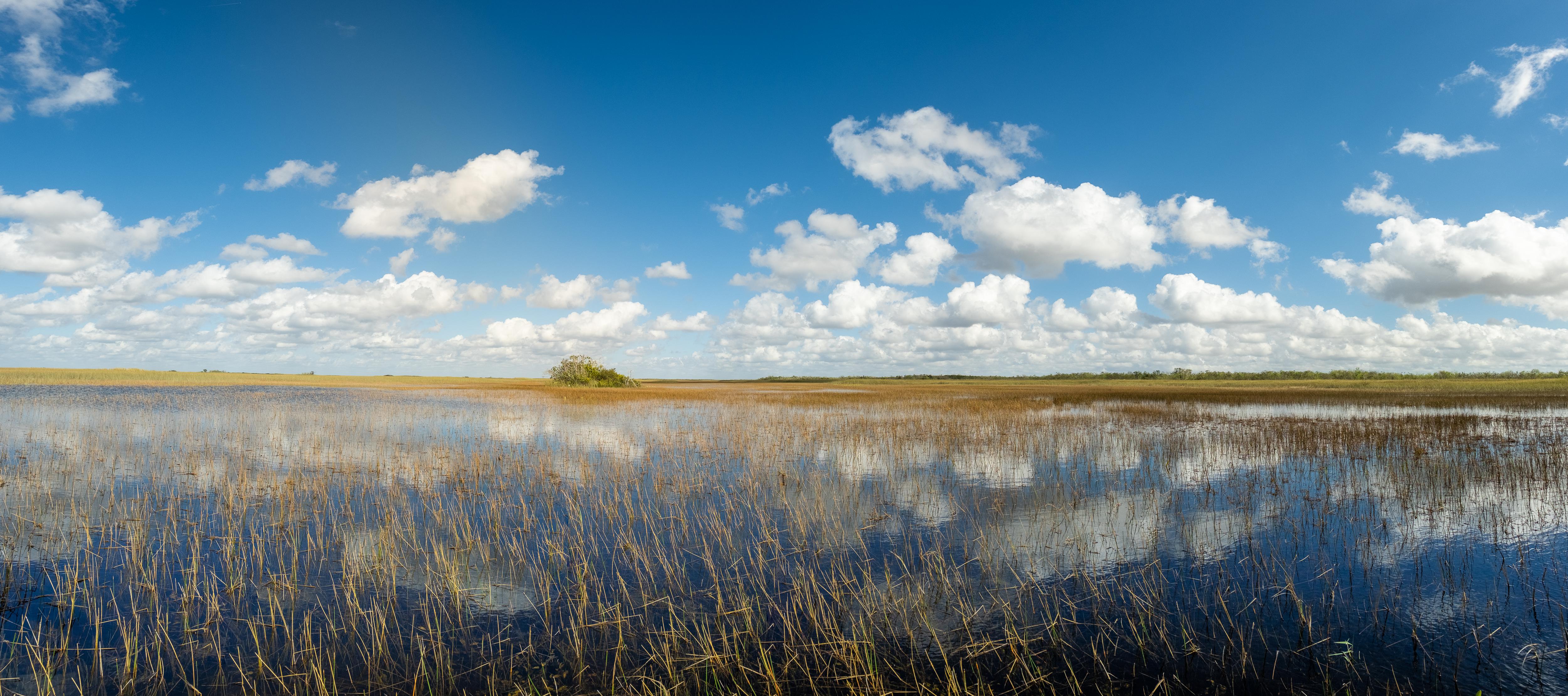 Florida USA Landscape Nature Clouds Everglades National Park 5000x2219