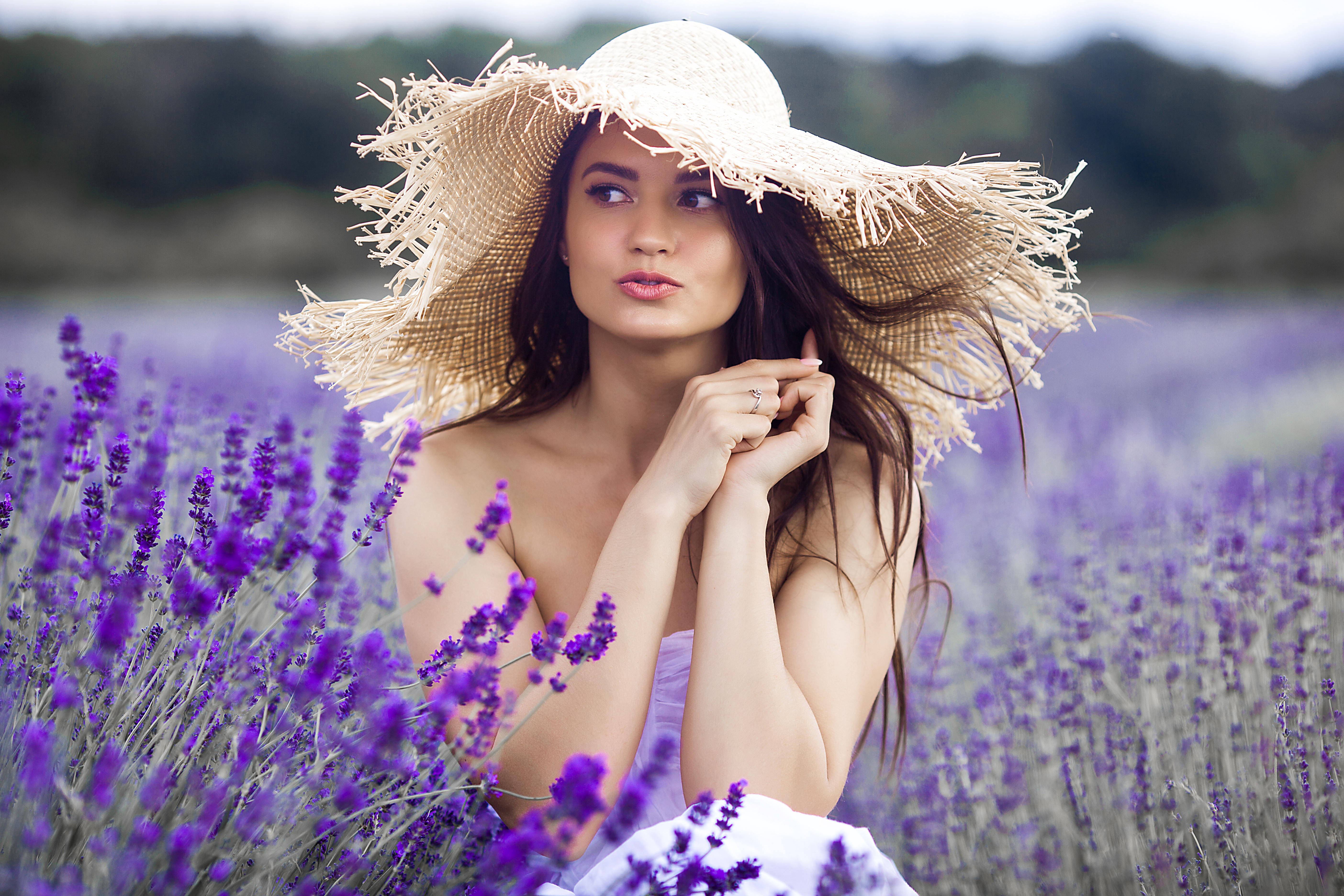Brown Eyes Brunette Hat Lavender Purple Flower 5616x3744