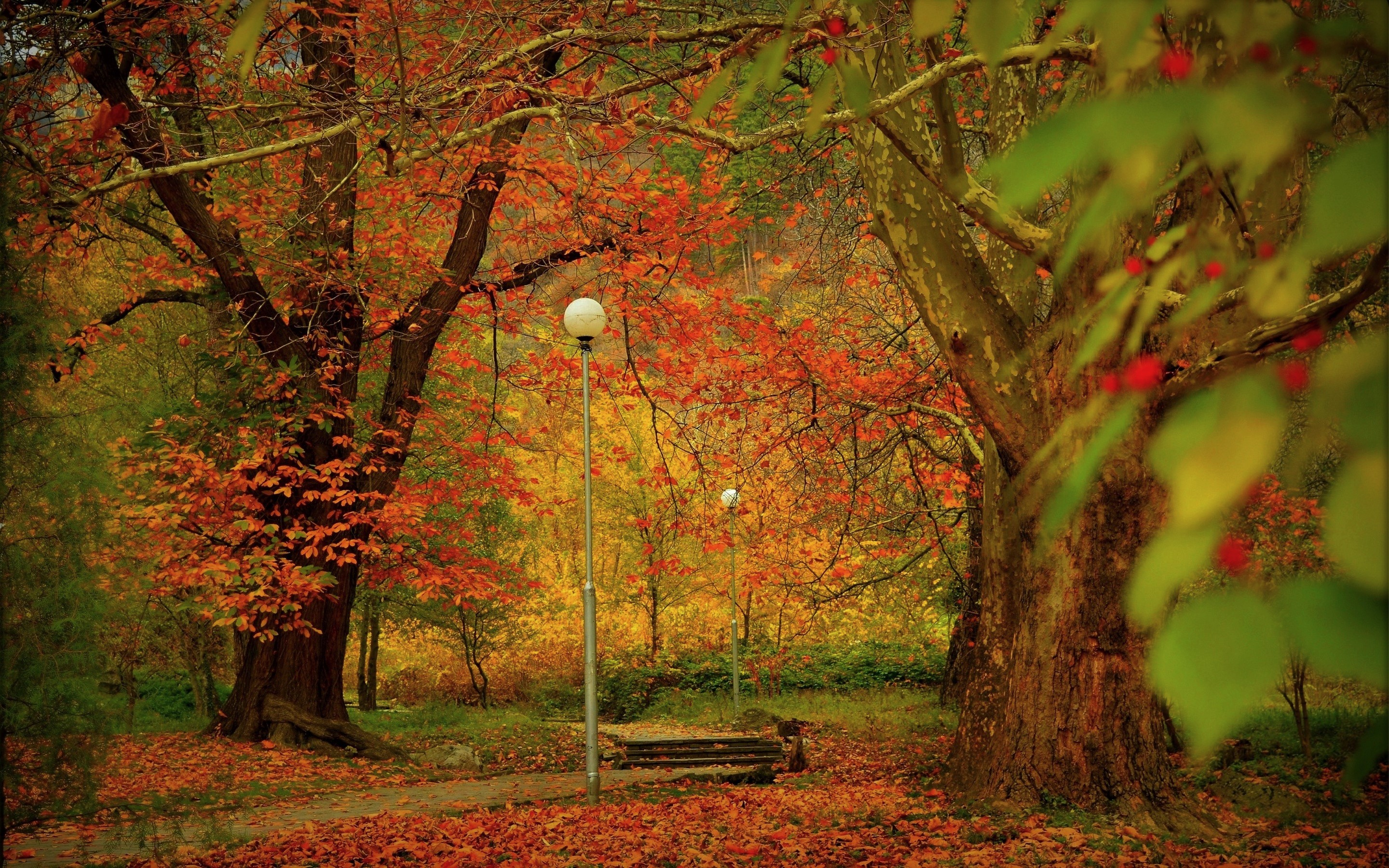 Fall Foliage Park Steps Street Light Tree 2880x1800