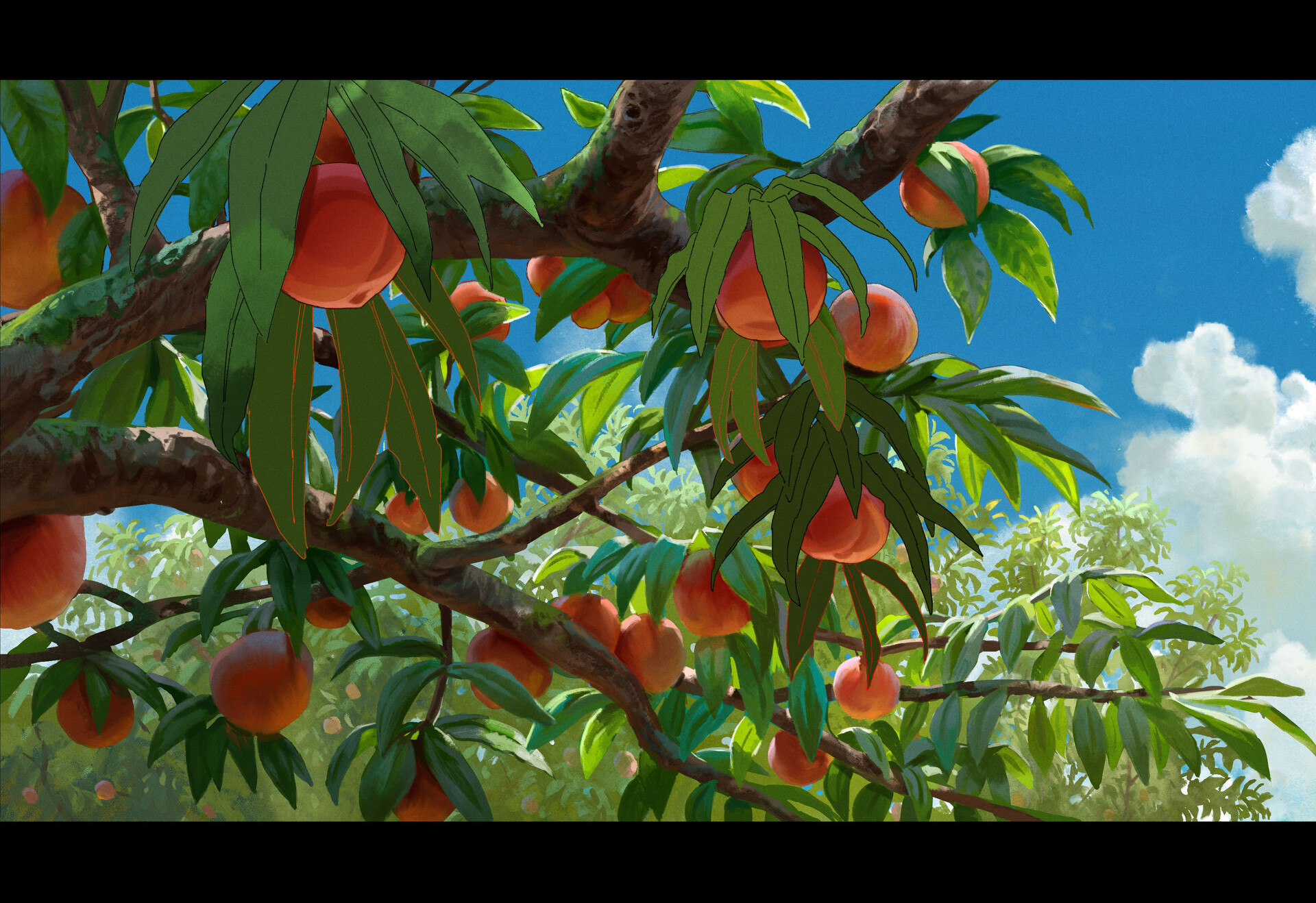 Artwork Digital Art Nature Peaches 1920x1318