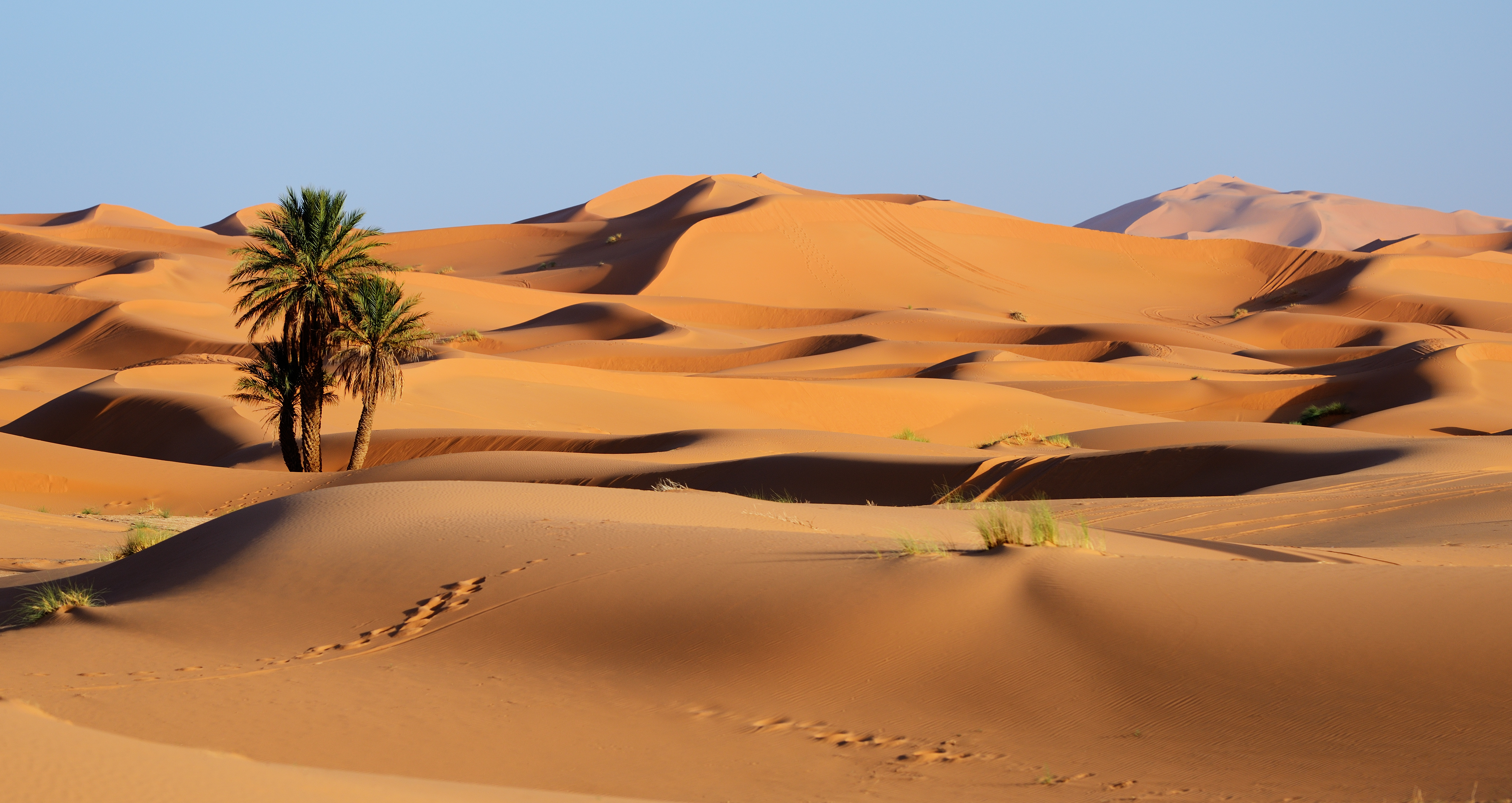 Nature Morocco Sand Dune 5000x2655