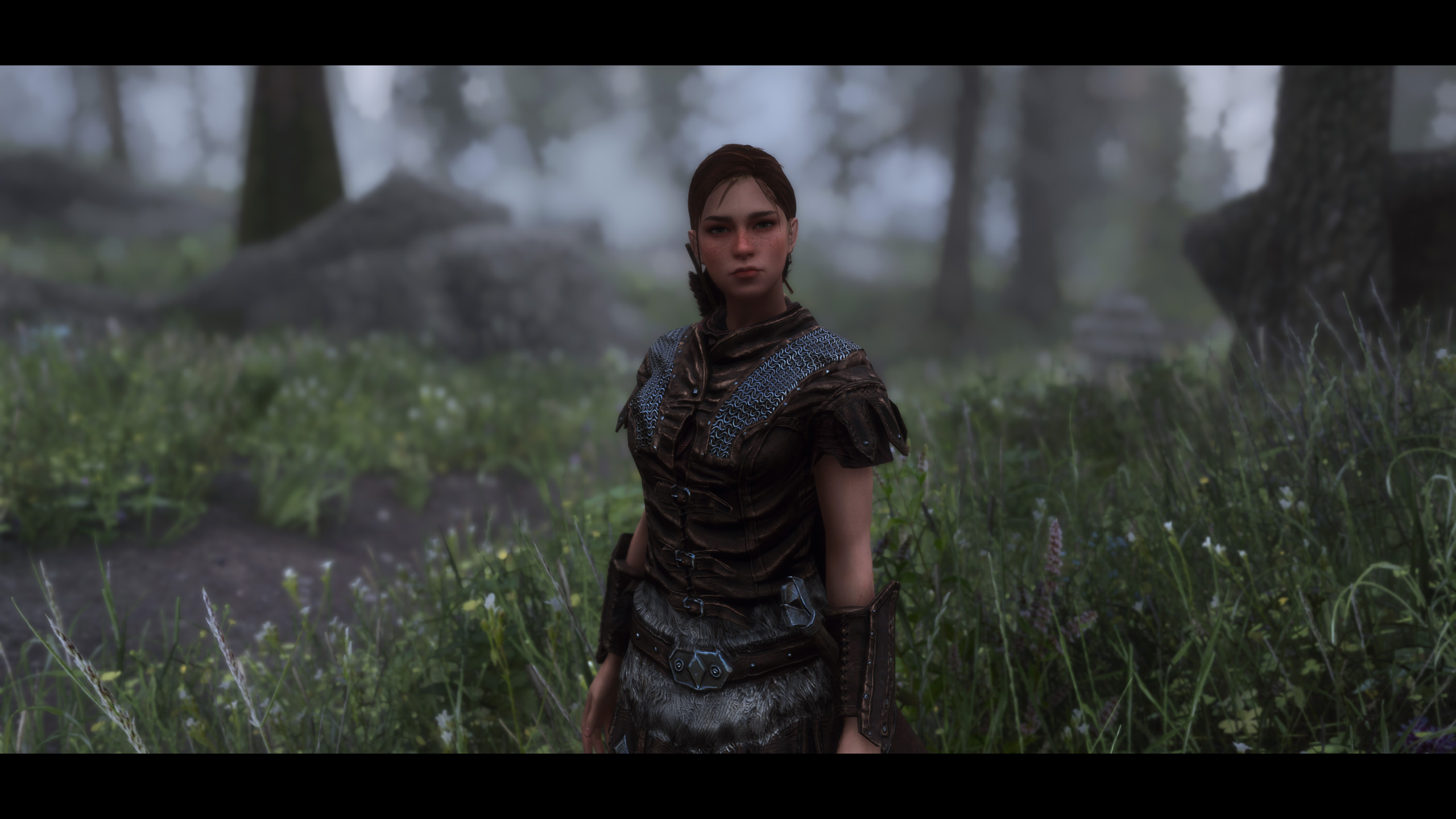 The Elder Scrolls V Skyrim RPG SLMP PC Gaming Video Games Screen Shot Girl In Armor 2560x1440