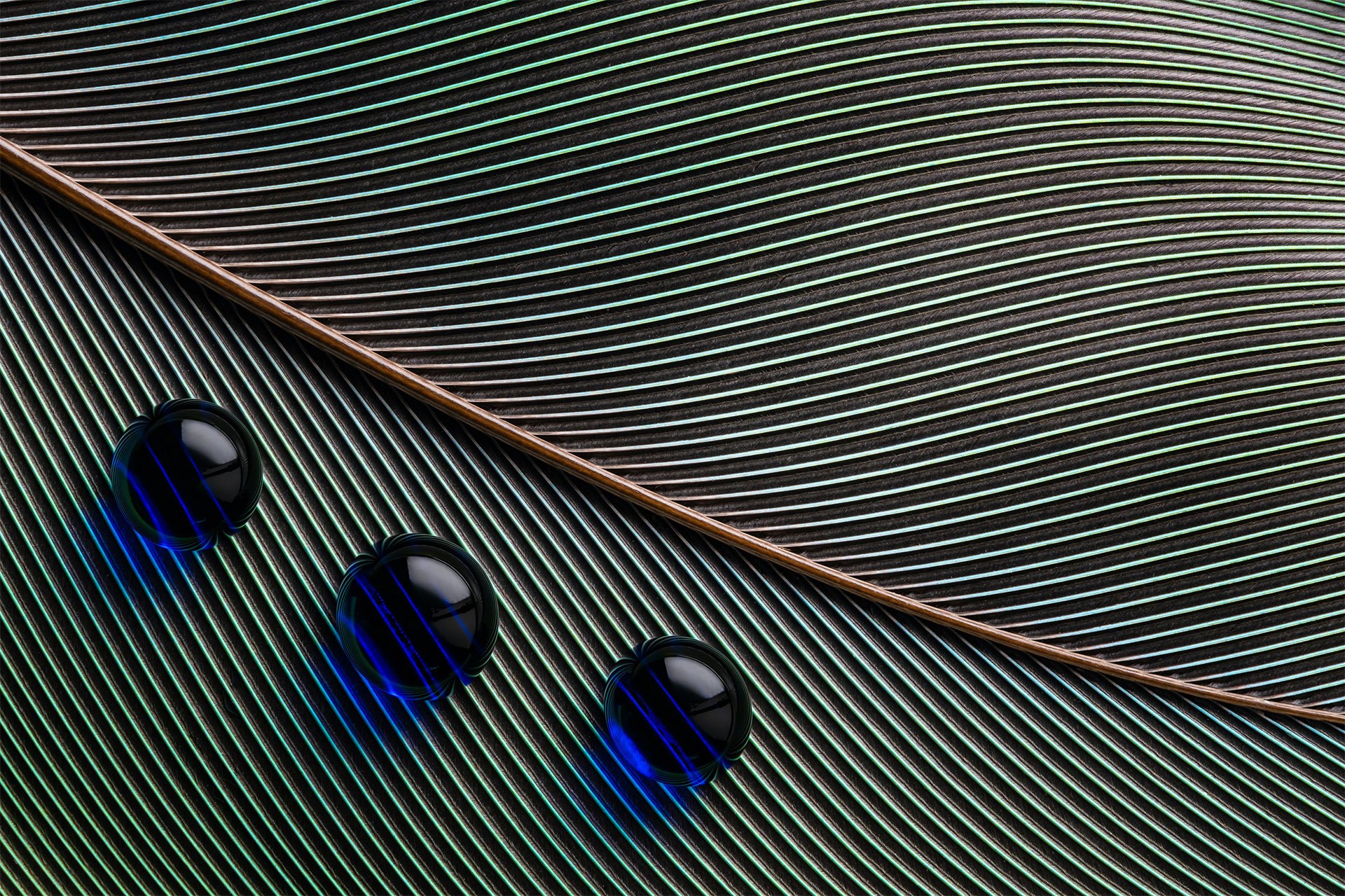 Photography Lines Bruno Militelli Water Drops Leaves Shadow Macro Closeup 1920x1279