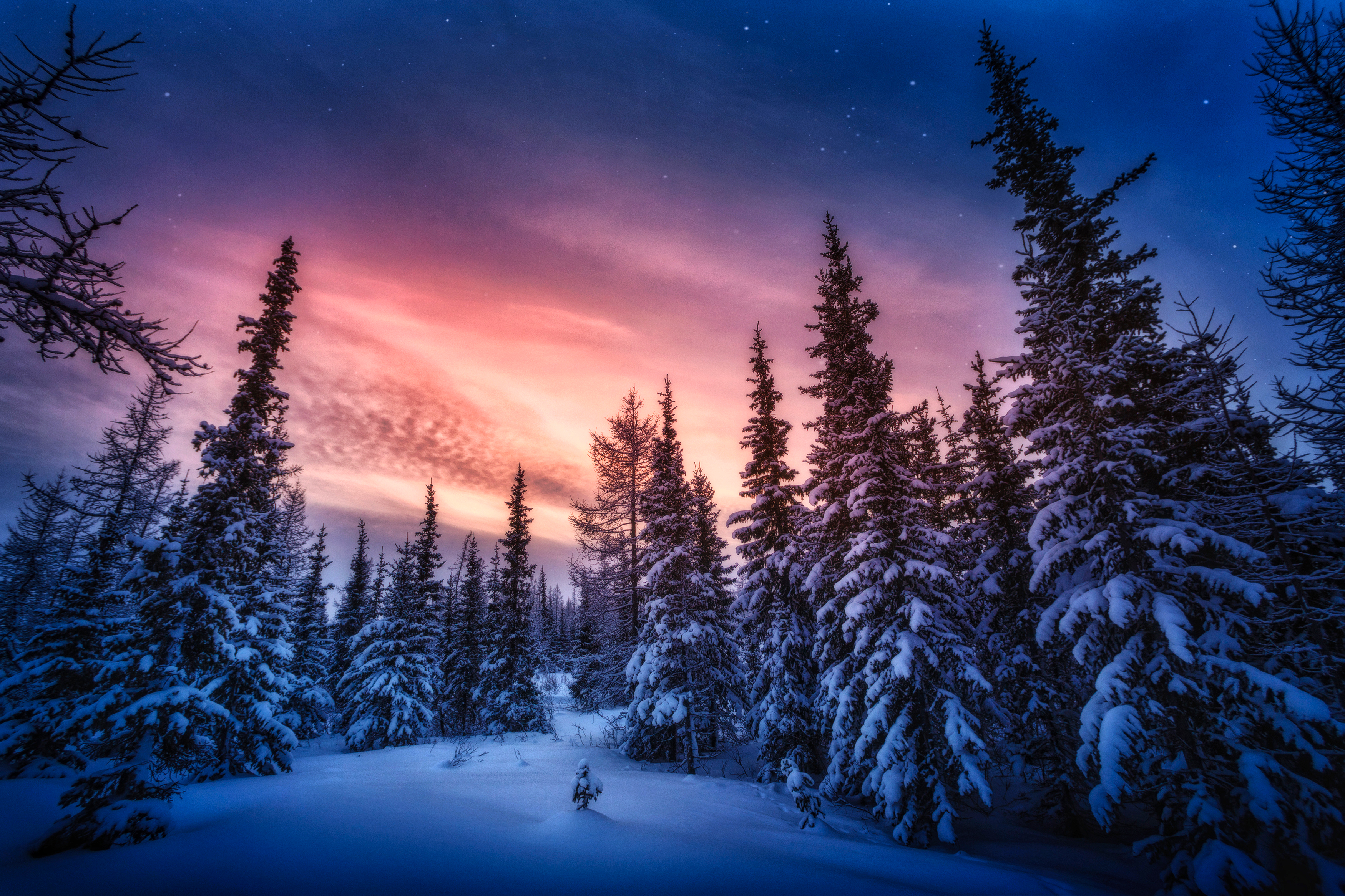 Winter Snow Landscape Outdoors Nature Night Sky Clouds Photography Trees Snow Covered 3500x2333