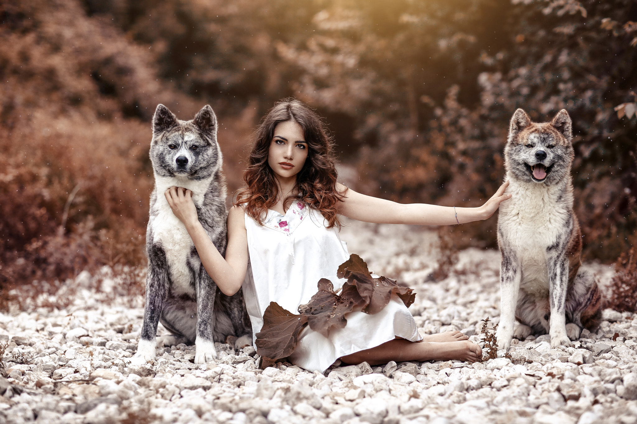 Alessandro Di Cicco Women Brunette Long Hair Wavy Hair Looking At Viewer White Clothing Animals Wolf 2048x1365