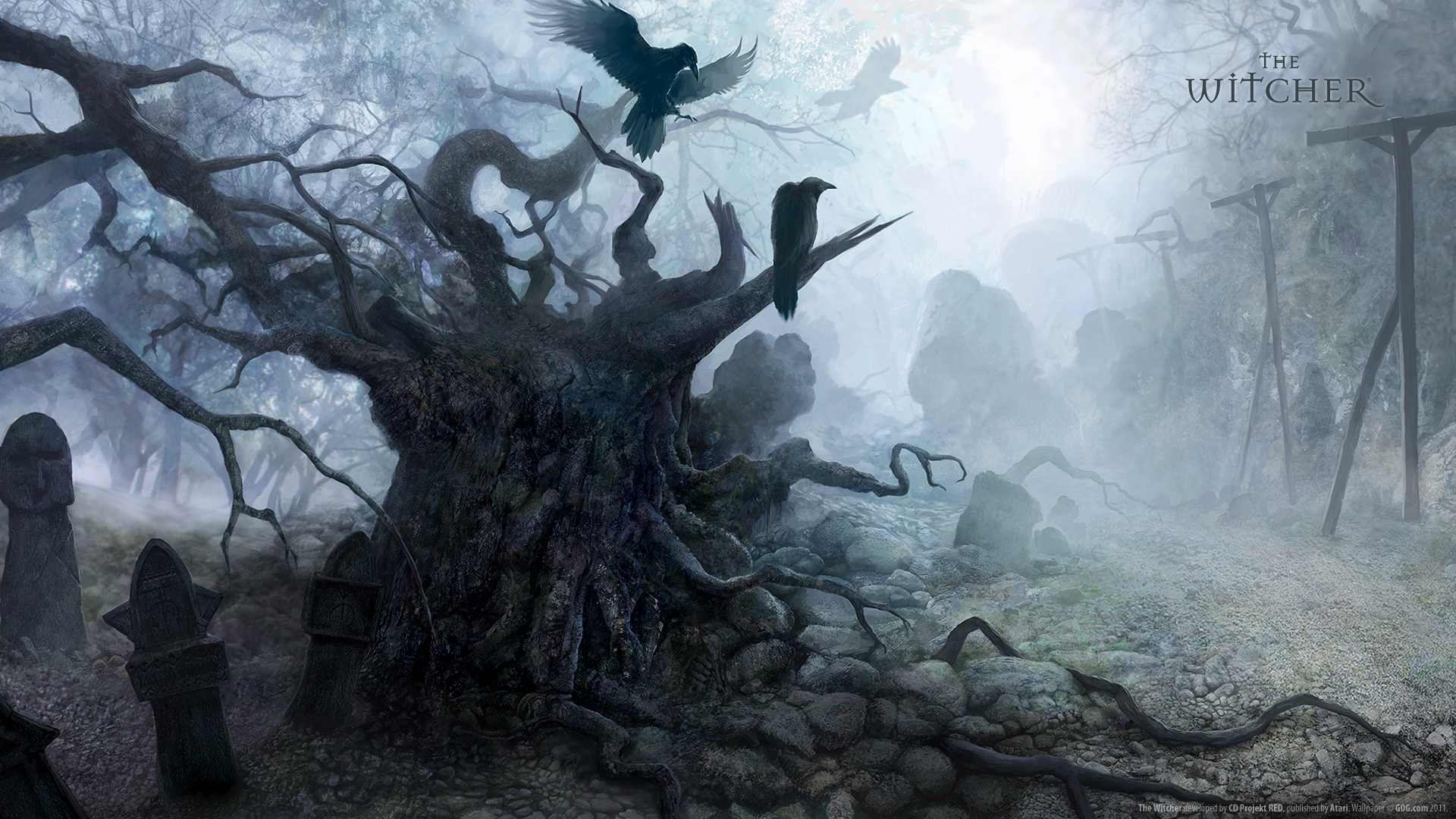 The Witcher Grave Mist 1920x1080