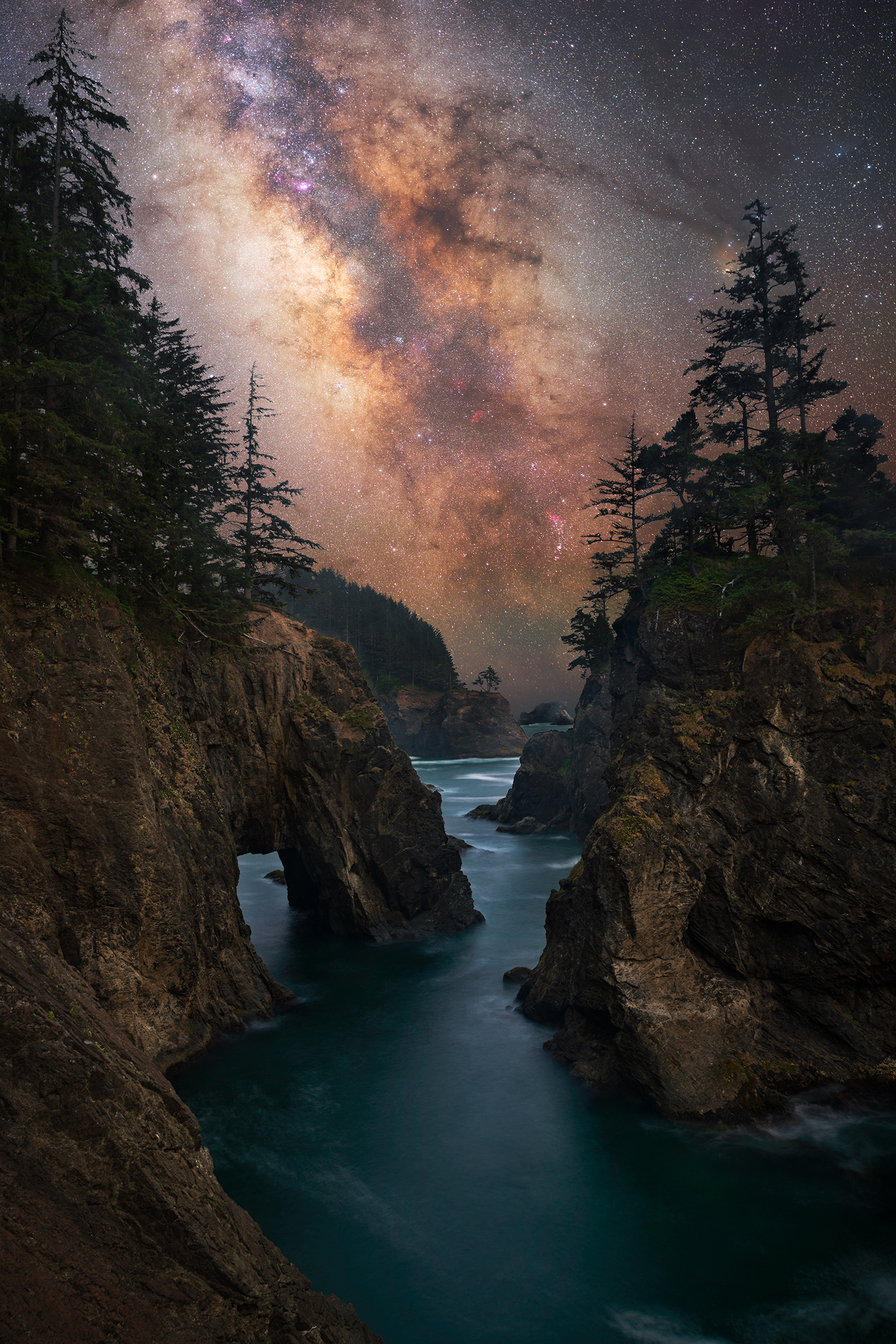 Nature Landscape Portrait Display Trees Rock Cliff Stars Milky Way Forest Pine Trees Night Starry Ni 1500x2248