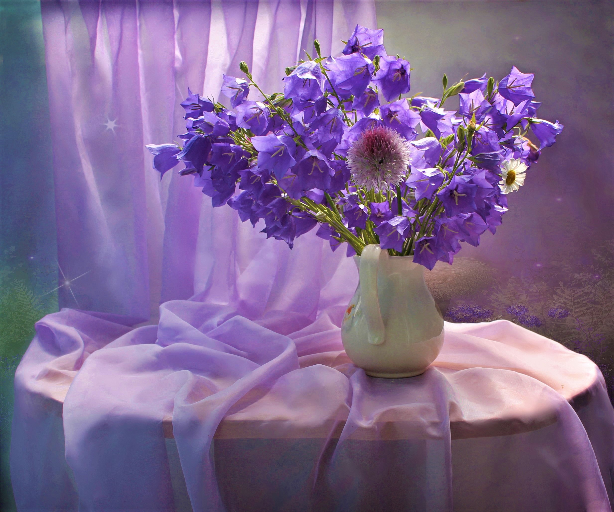 Curtain Flower Pitcher Purple Flower 2465x2054