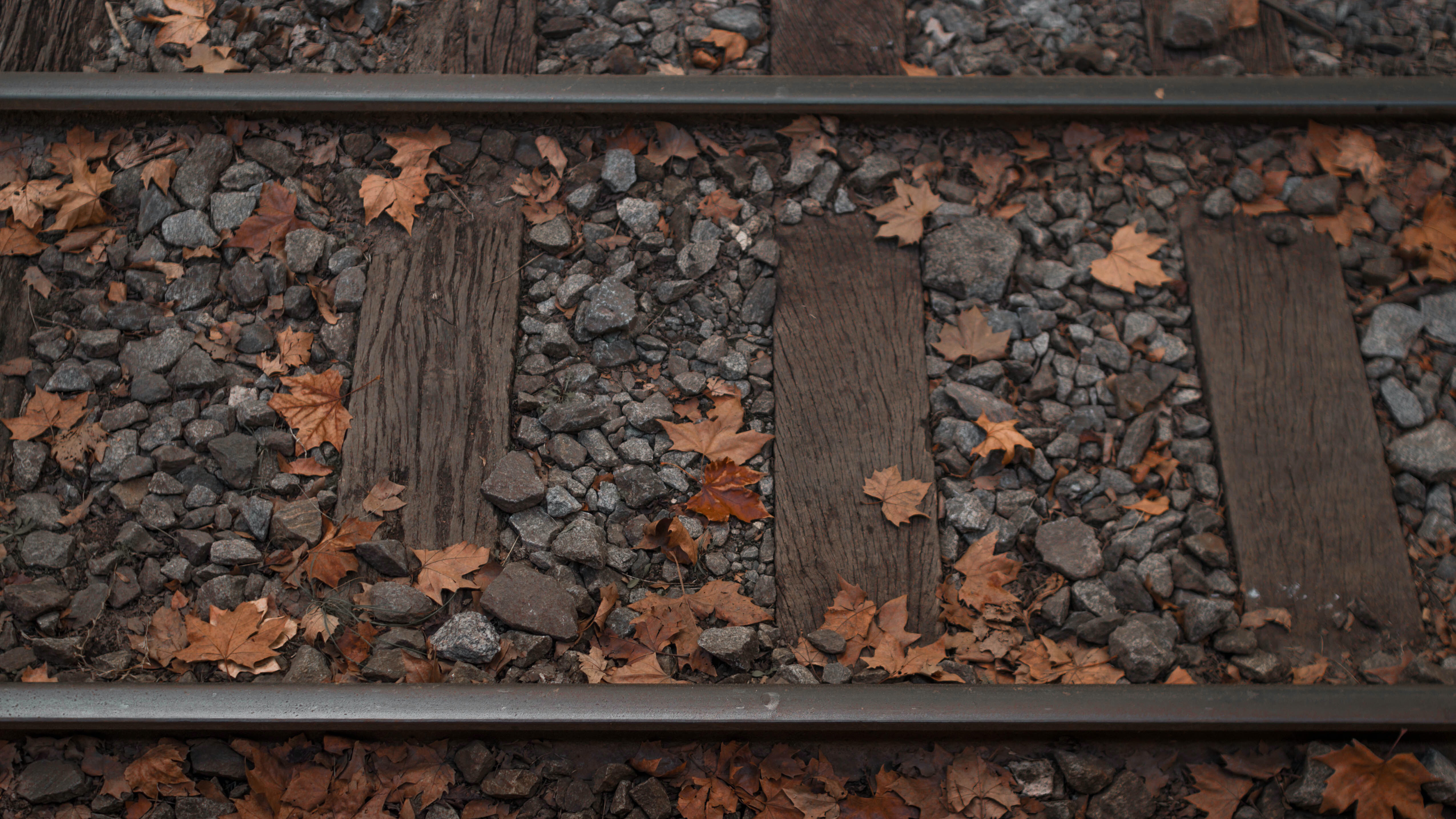 Railway Foliage Fall Leaves Wood Planks Pebbles Rocks Felipe Pelaquim Railroad Track Fallen Leaves 5101x2869