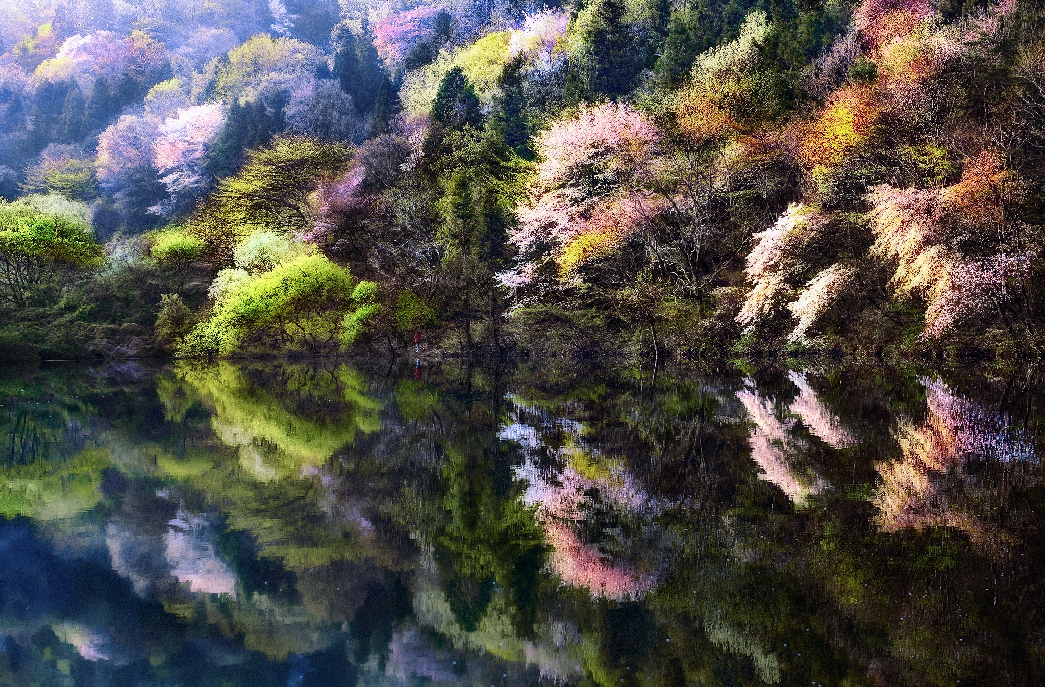 Nature Lake Spring South Korea 2048x1347