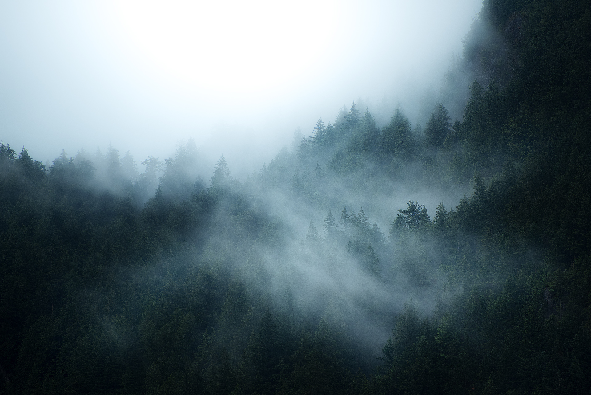 British Columbia Canada Fog Forest 1920x1282