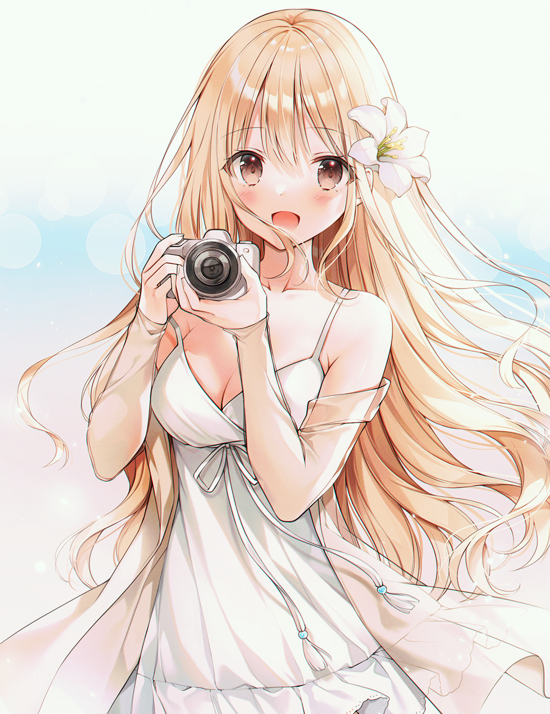 Anime Anime Girls Blonde Camera Long Hair Brown Eyes Dress Artwork Weri  Wallpaper - Resolution:1095x1421 - ID:1291981 