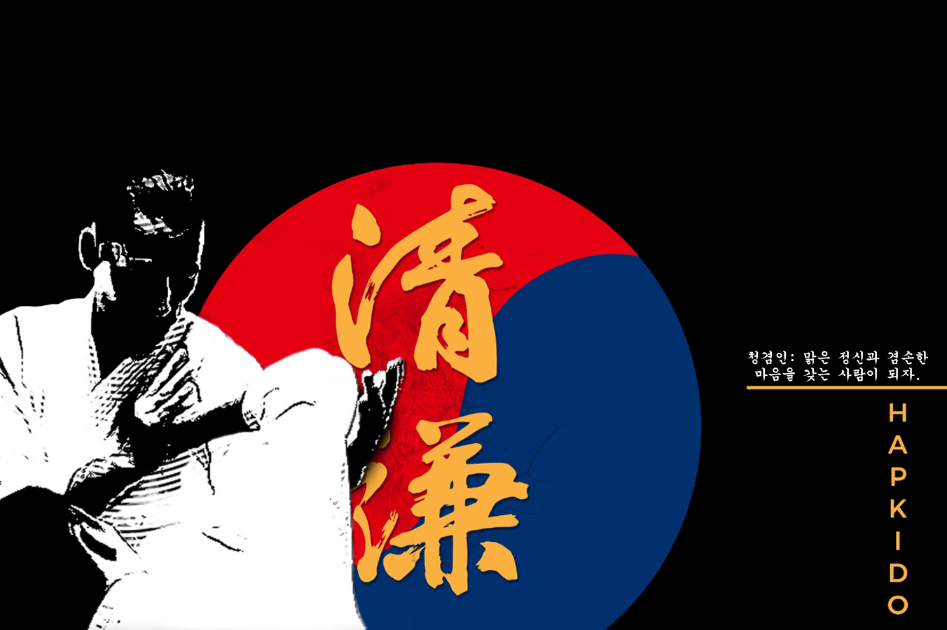 Hapkido Korean Martial Arts 1352x900