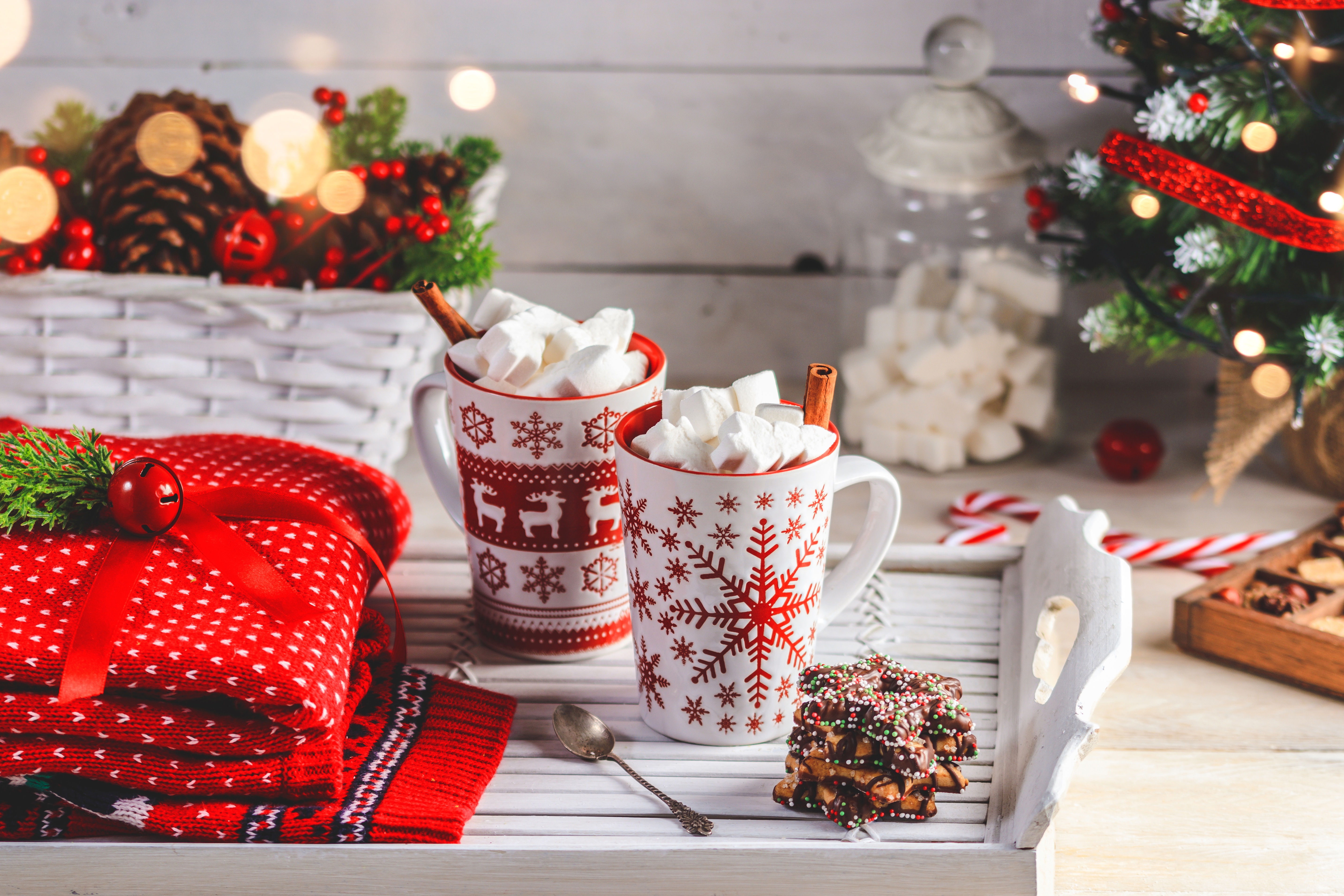 Marshmallow Cup Christmas Still Life Cookie Drink 5734x3823