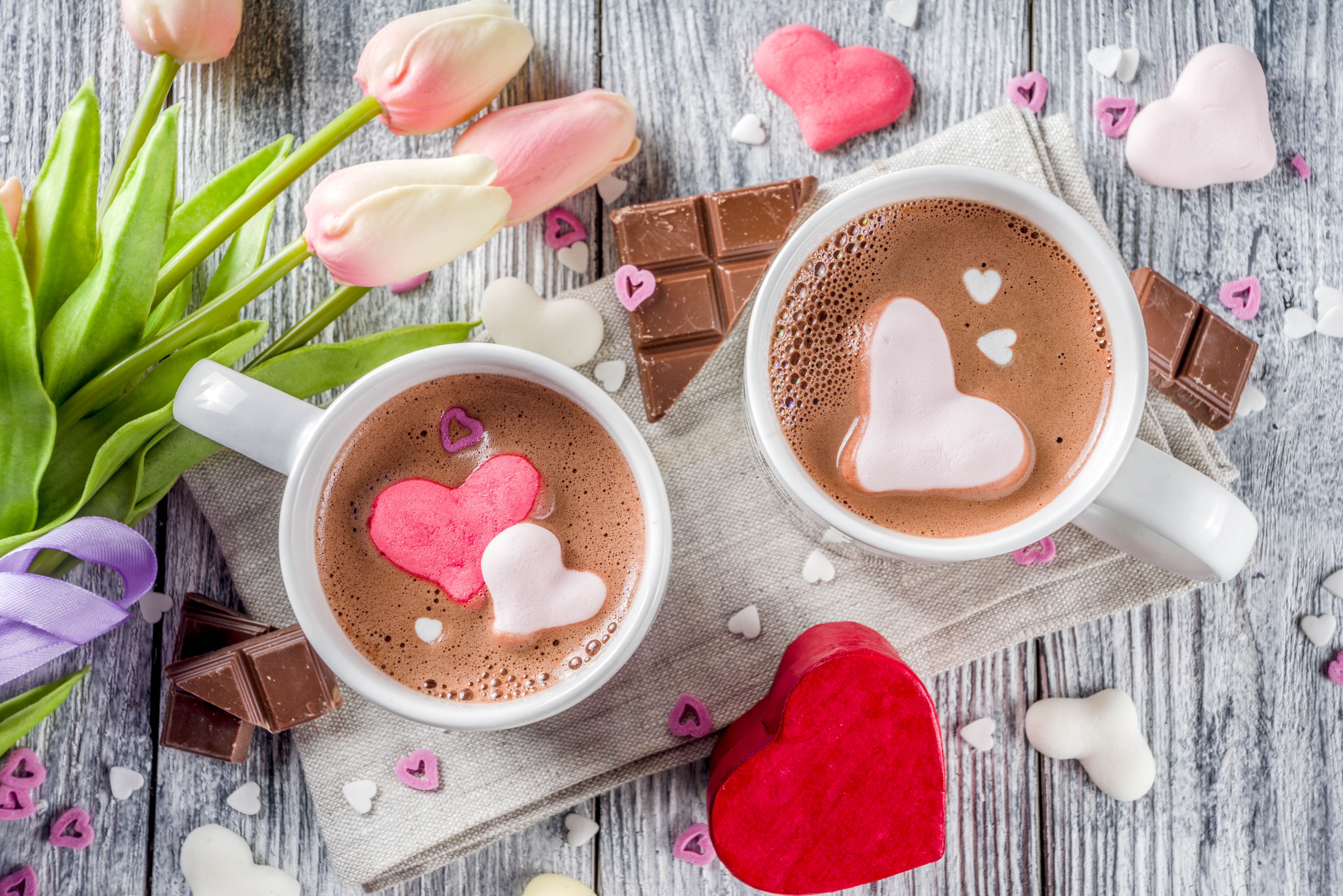 Flower Cup Tulip Drink Chocolate 7360x4912