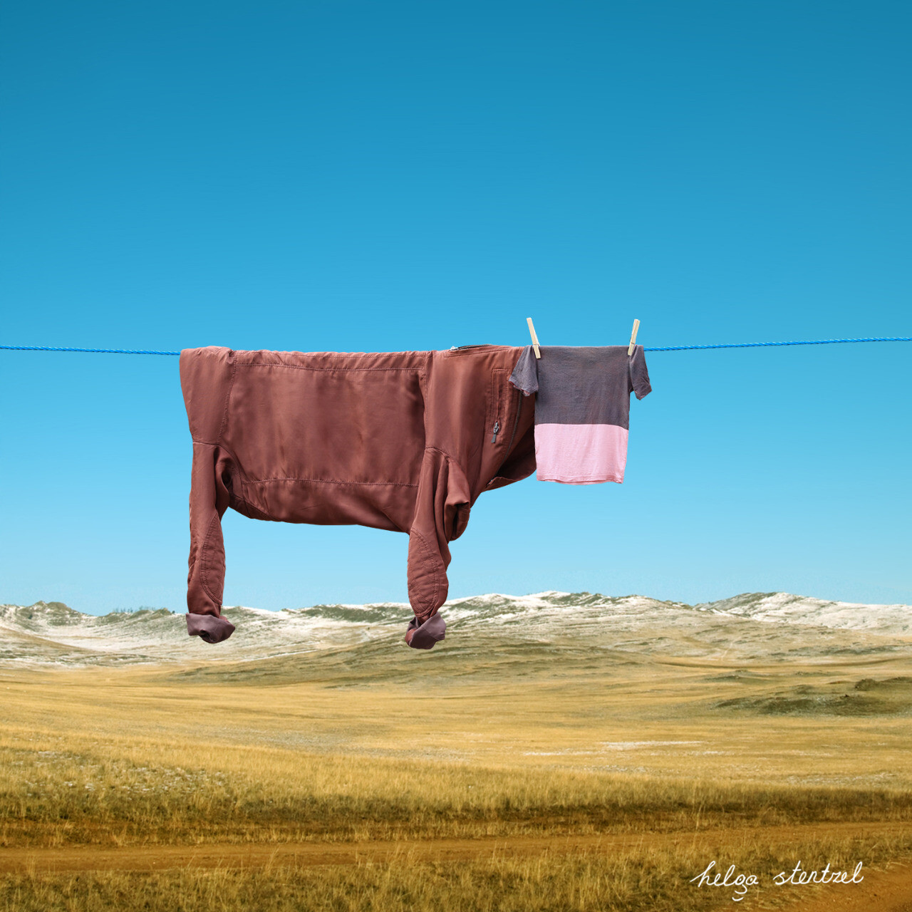 Photography Humor Helga Stentzel Landscape Nature Animals Cow Illusion Cloth Clothes Field 1280x1280