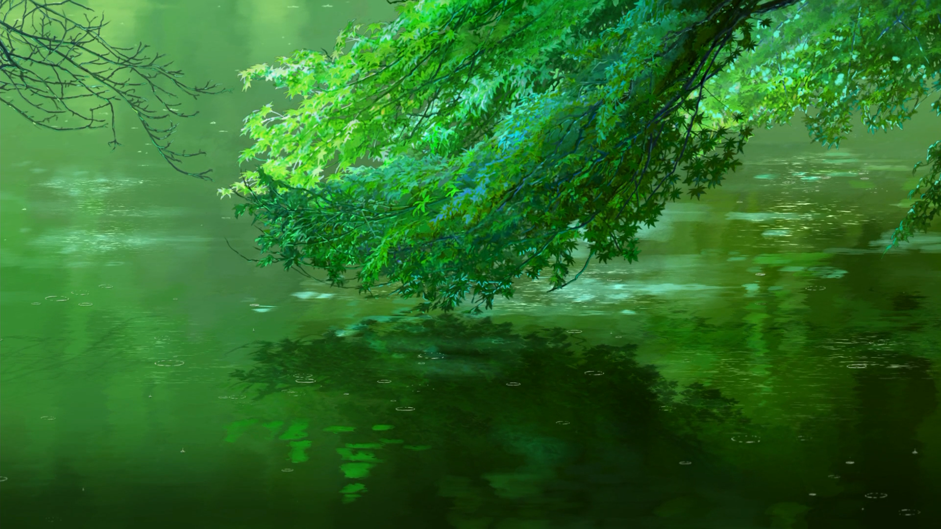 Animation Nature Leaves Water 1920x1080