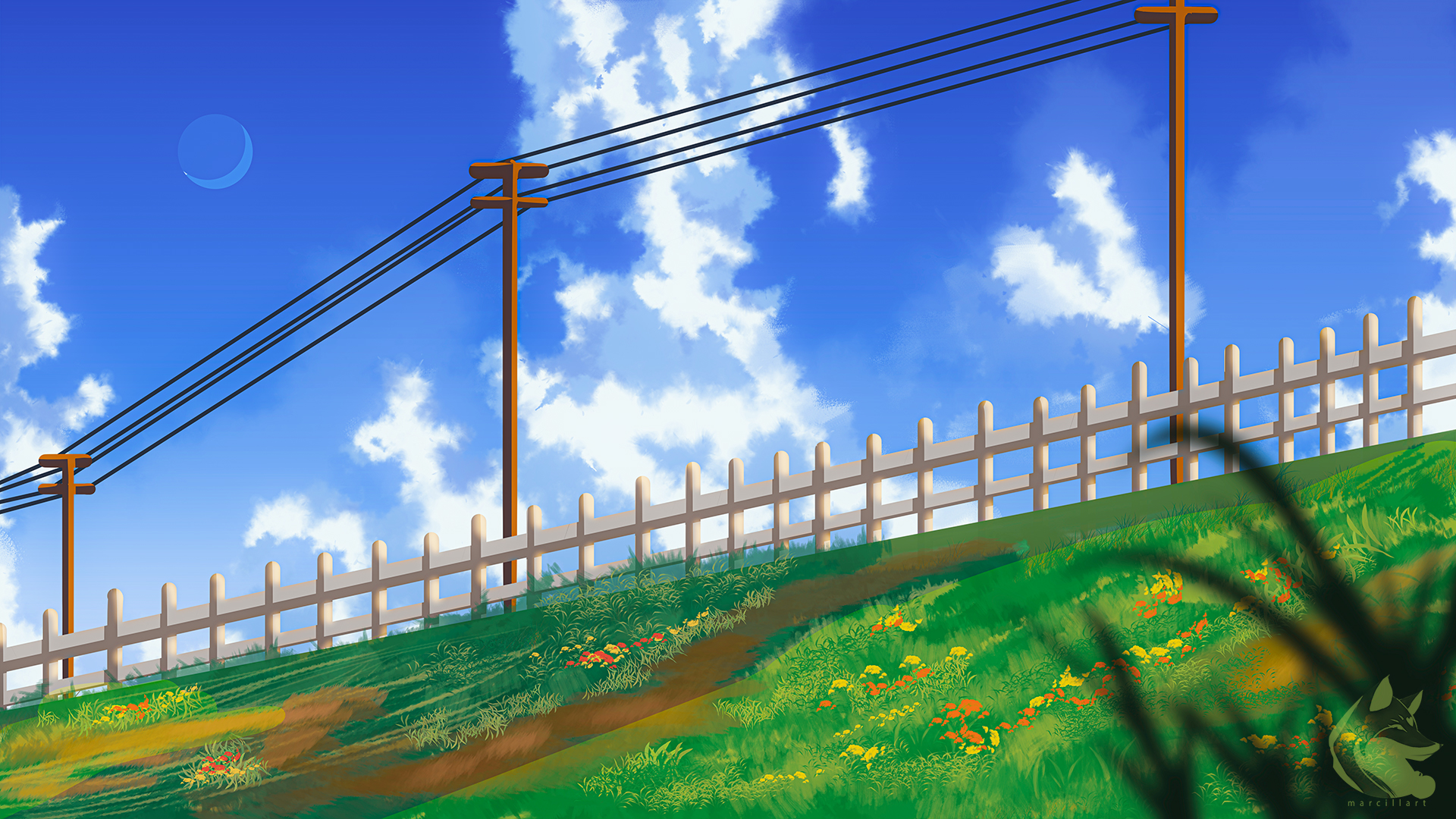 Clouds Clear Sky Grass Electric Line Utility Pole Flowers Summer Spring 1920x1080