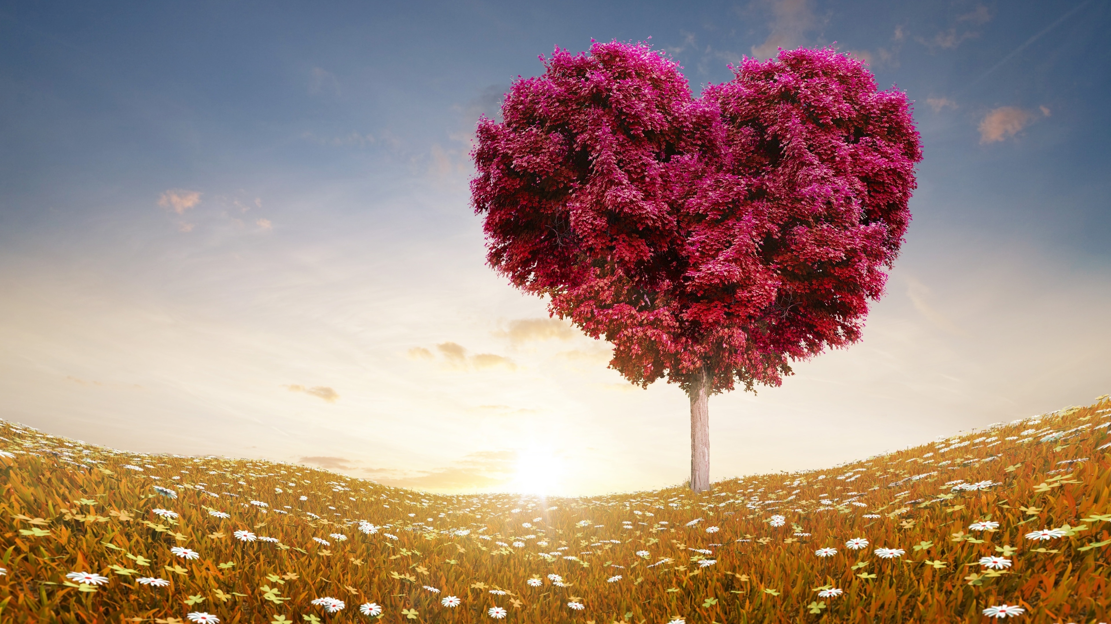 Field Heart Heart Shaped Love Tree 3840x2160