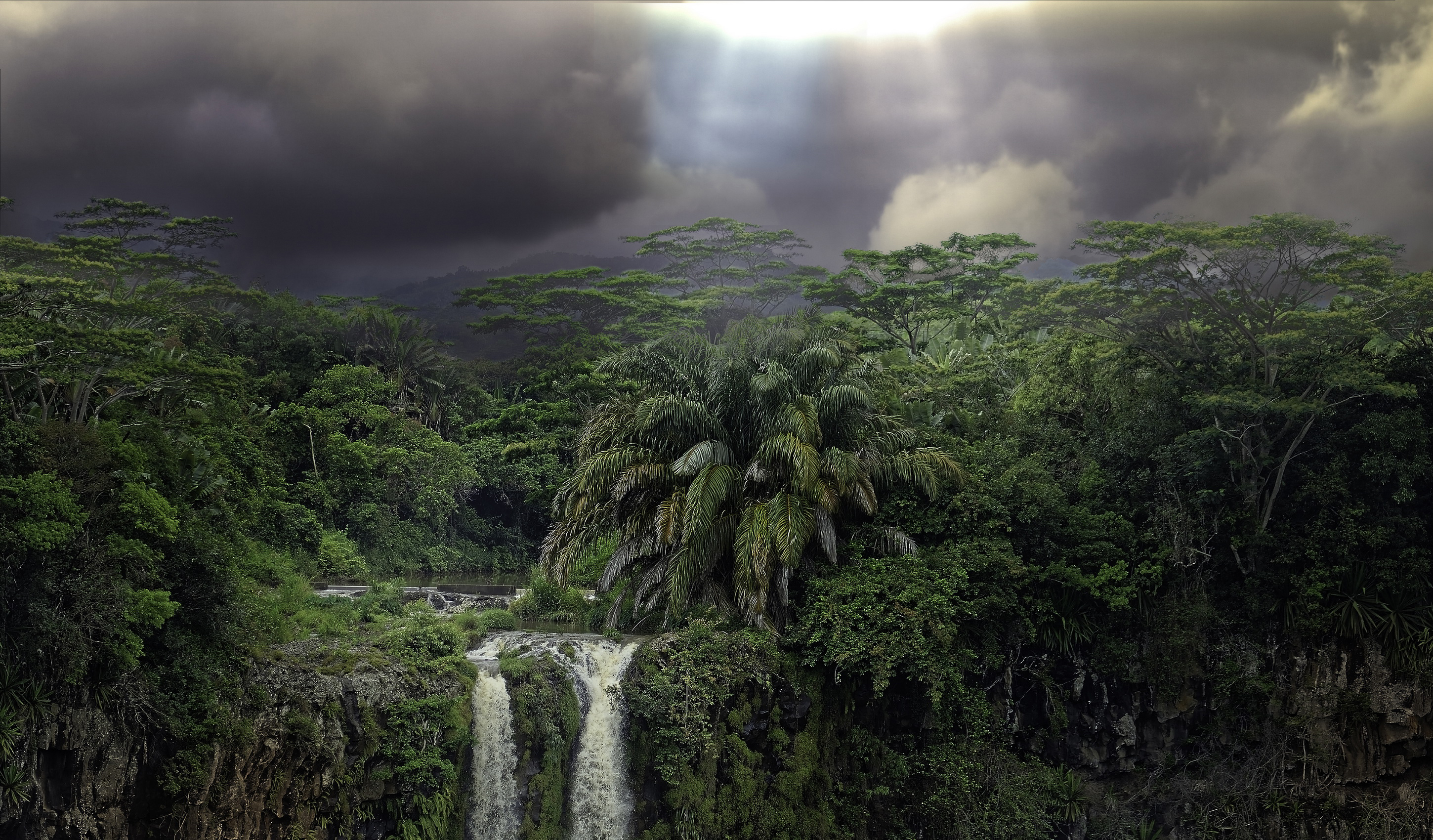 Rainforest Cloud Forest Green Jungle Sunbeam Sunshine Tree Tropical 2900x1700