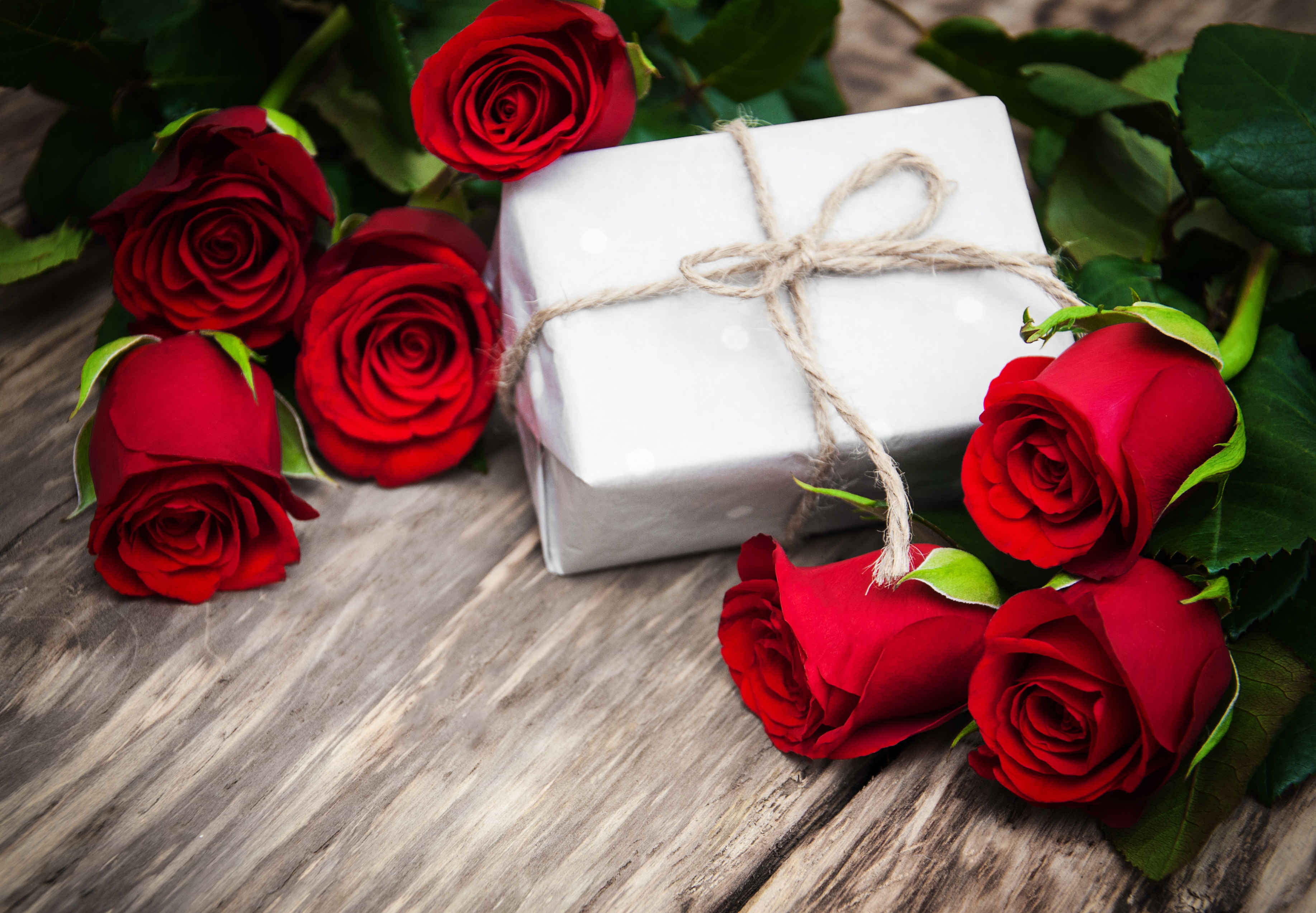 Gift Love Red Flower Rose 3670x2546