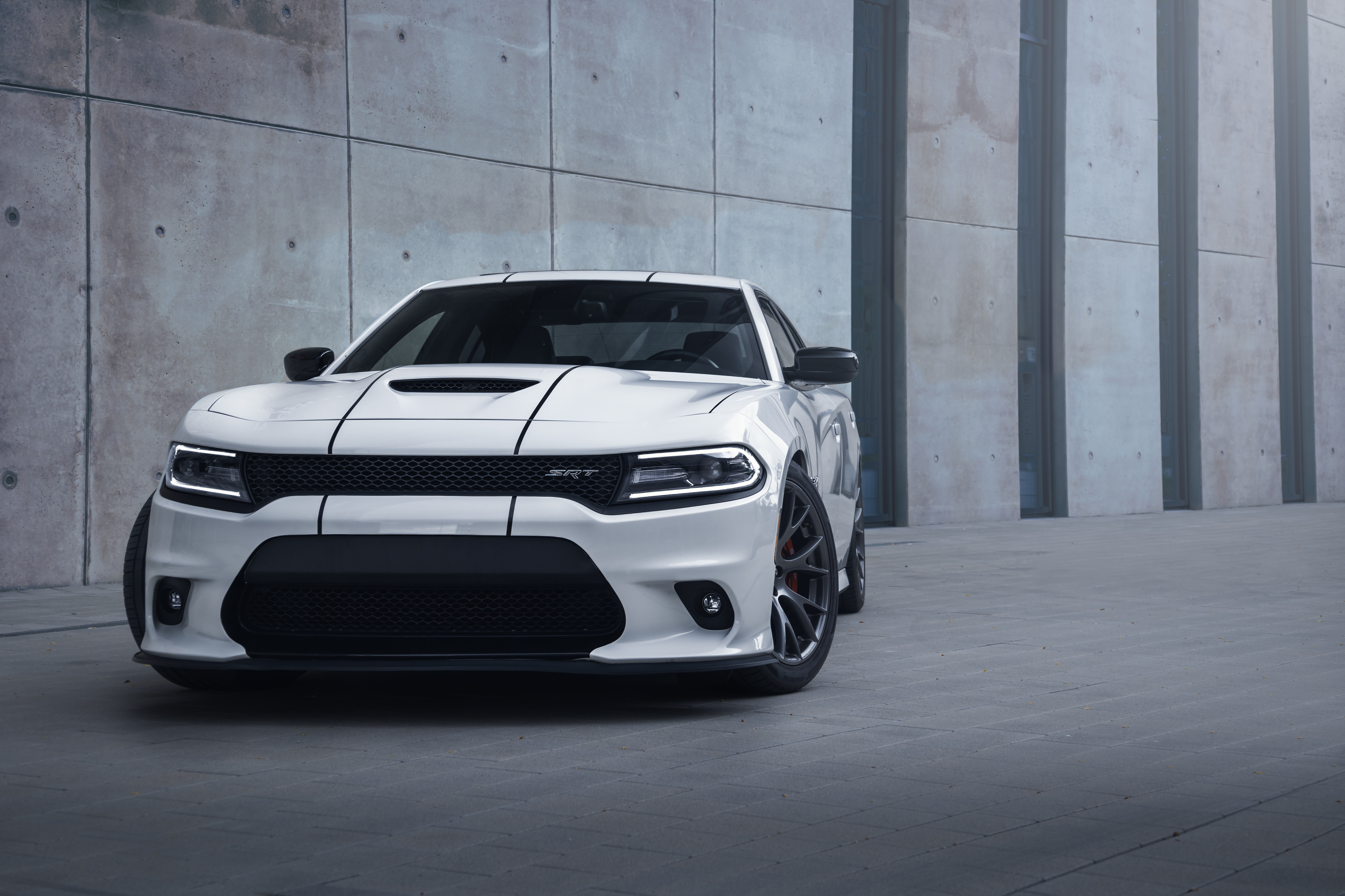 Dodge Charger Dodge Charger Muscle Cars American Cars SRT White Cars Tuning Supercars 5439x3626