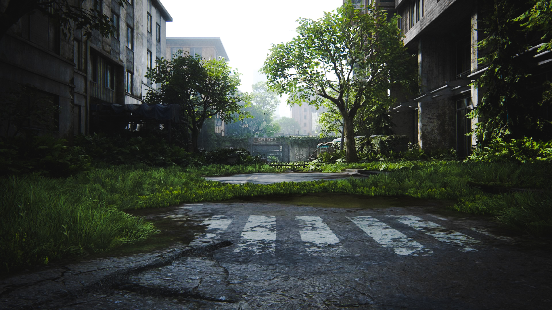 The Last Of Us The Last Of Us 2 Nature 1920x1080