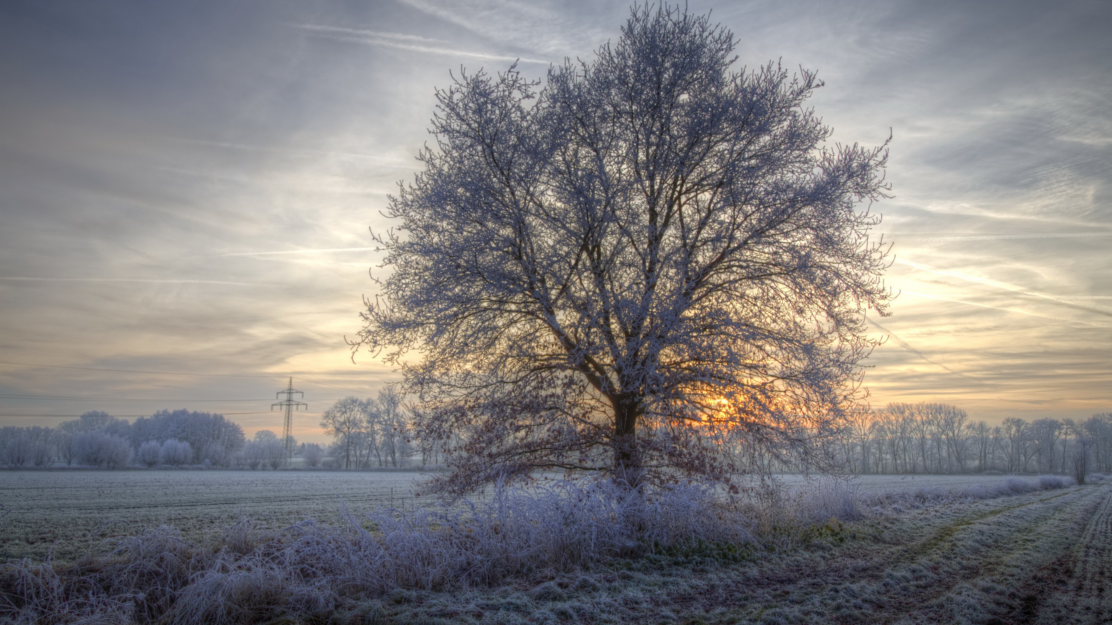 Outdoors Cold Field Frost Snow Ice Trees Sky Winter 3840x2160