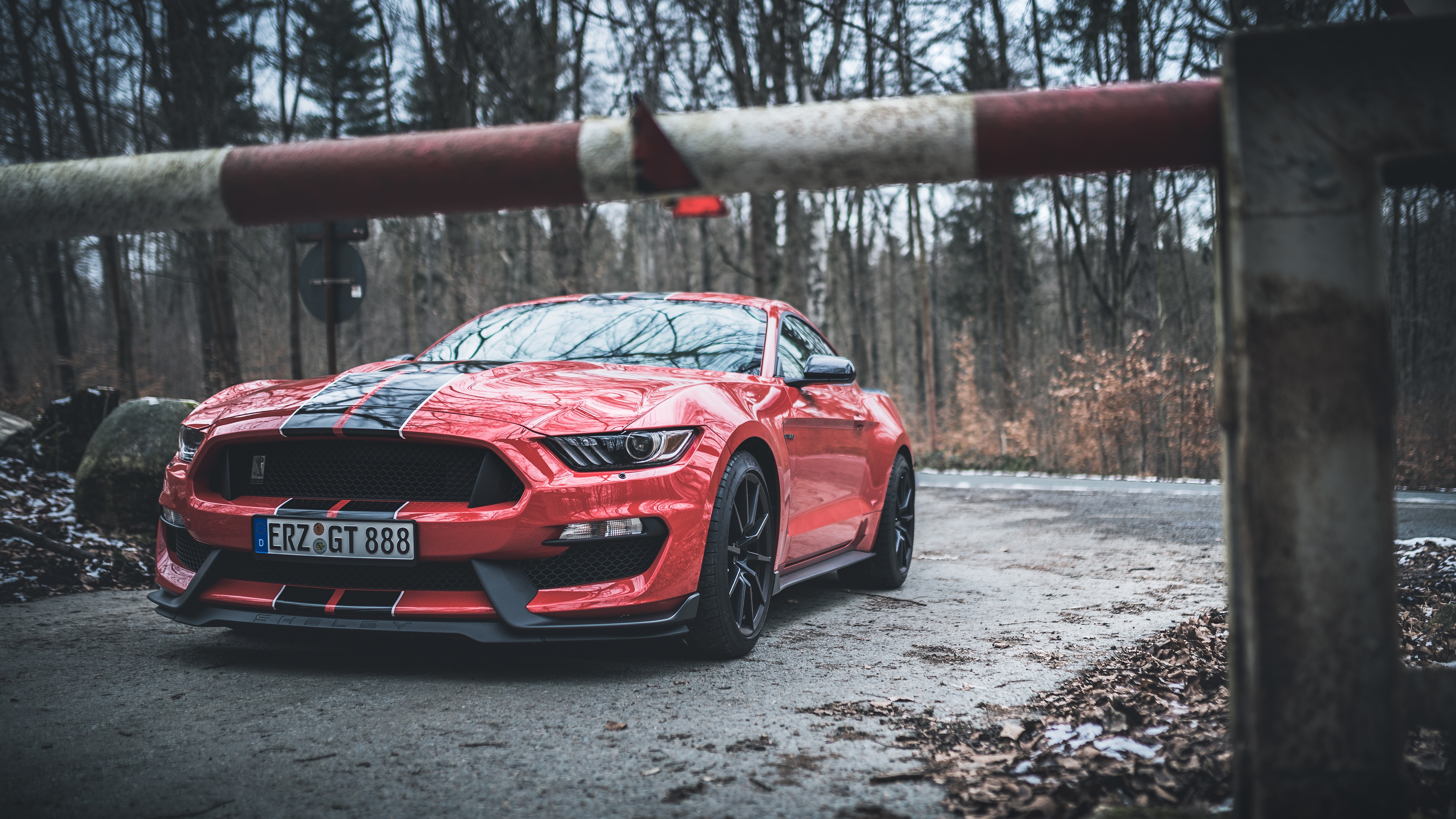 Ford Mustang Shelby Ford Mustang Ford Car Red Car Muscle Car 3840x2160
