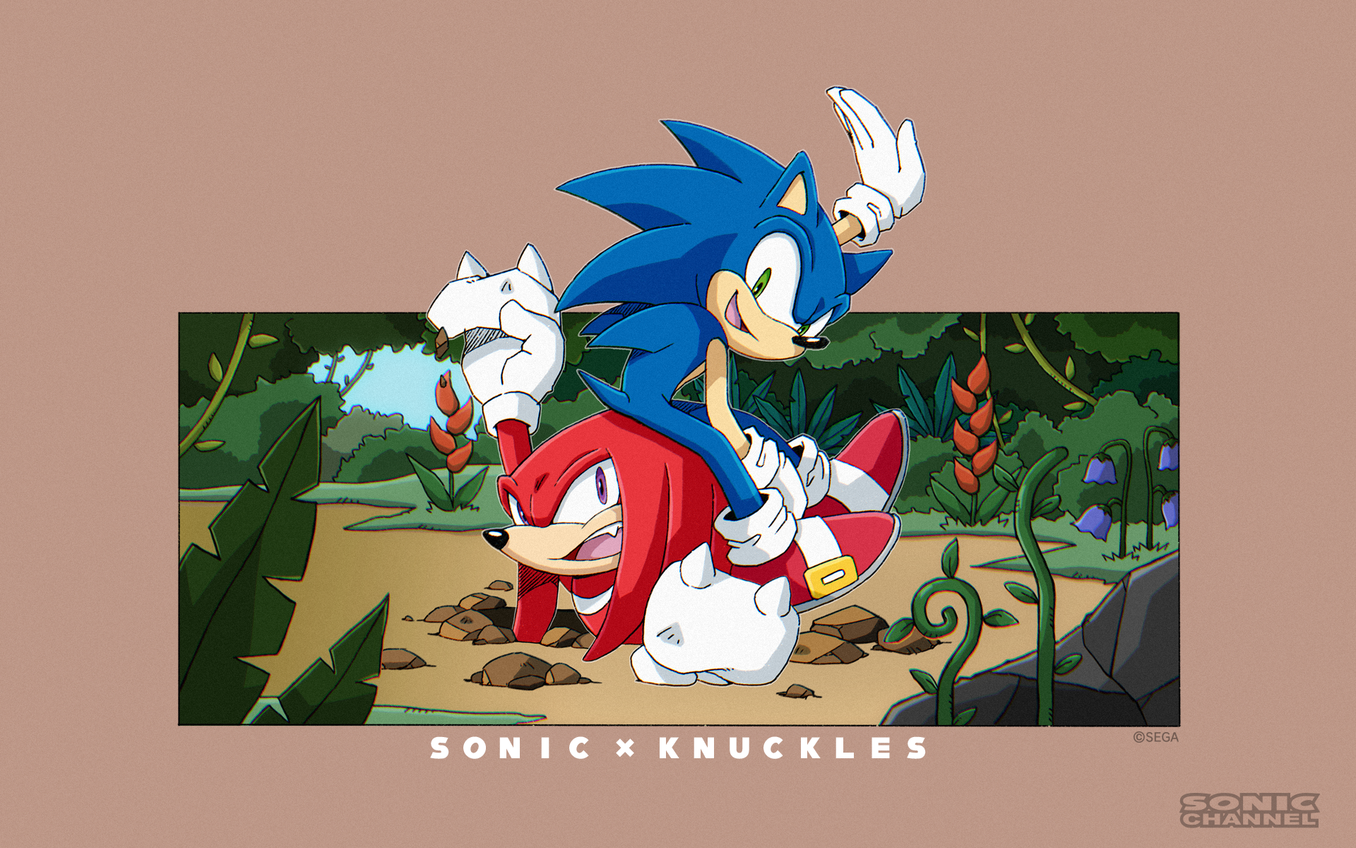 Sonic Sonic The Hedgehog Sega Knuckles Video Game Art Comic Art PC Gaming February 1920x1200