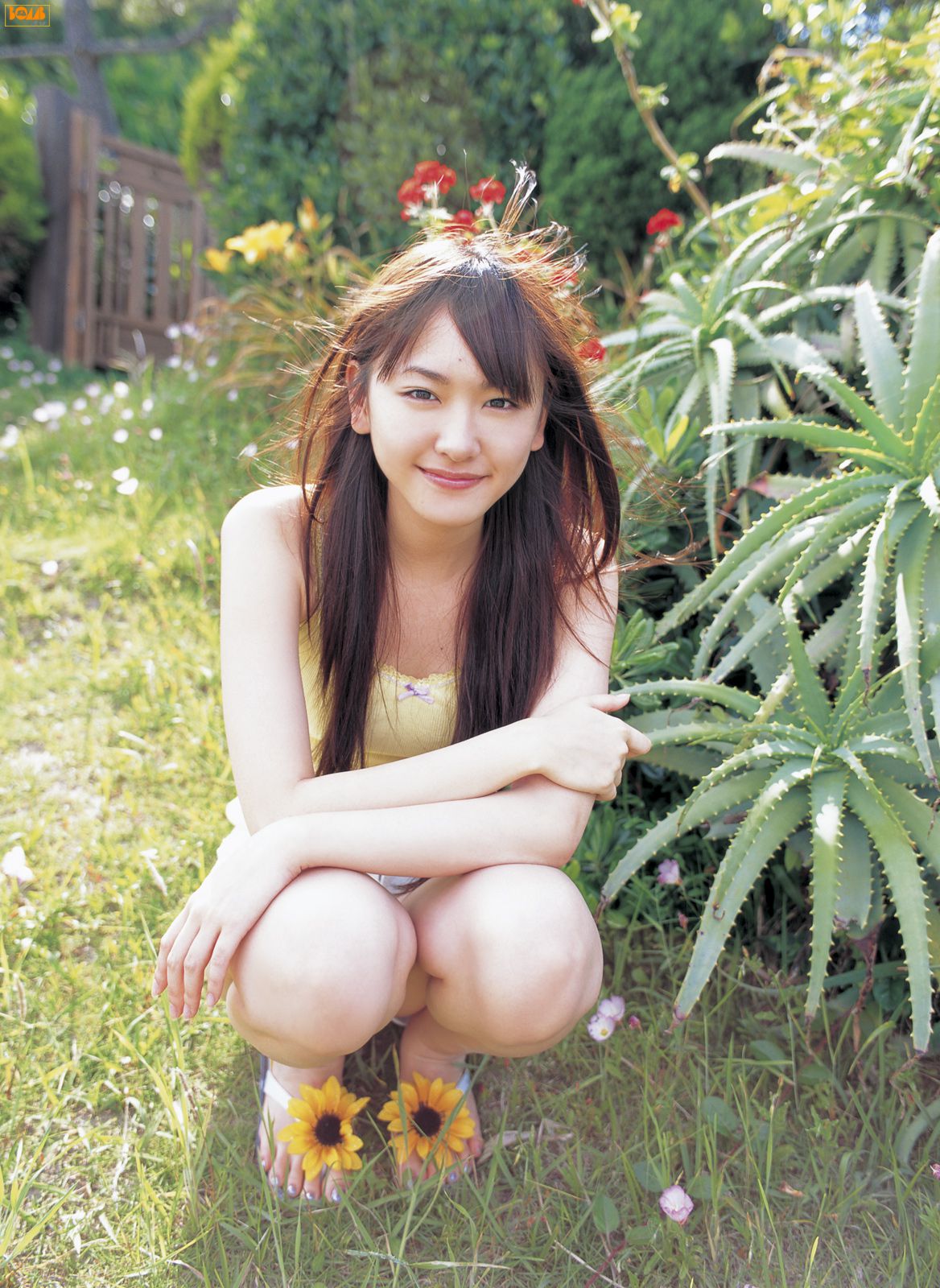 Asian Women Japanese Women Yui Aragaki Aloe Vera Garden 1168x1600
