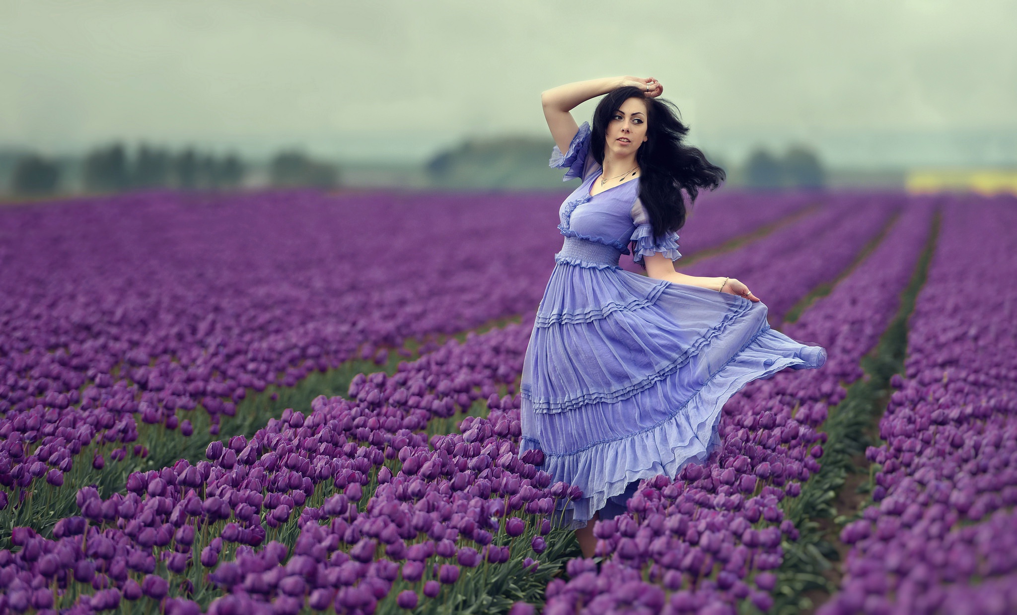 Woman Girl Blue Dress Depth Of Field Black Hair Field Summer Tulip Flower Purple Flower 2048x1239