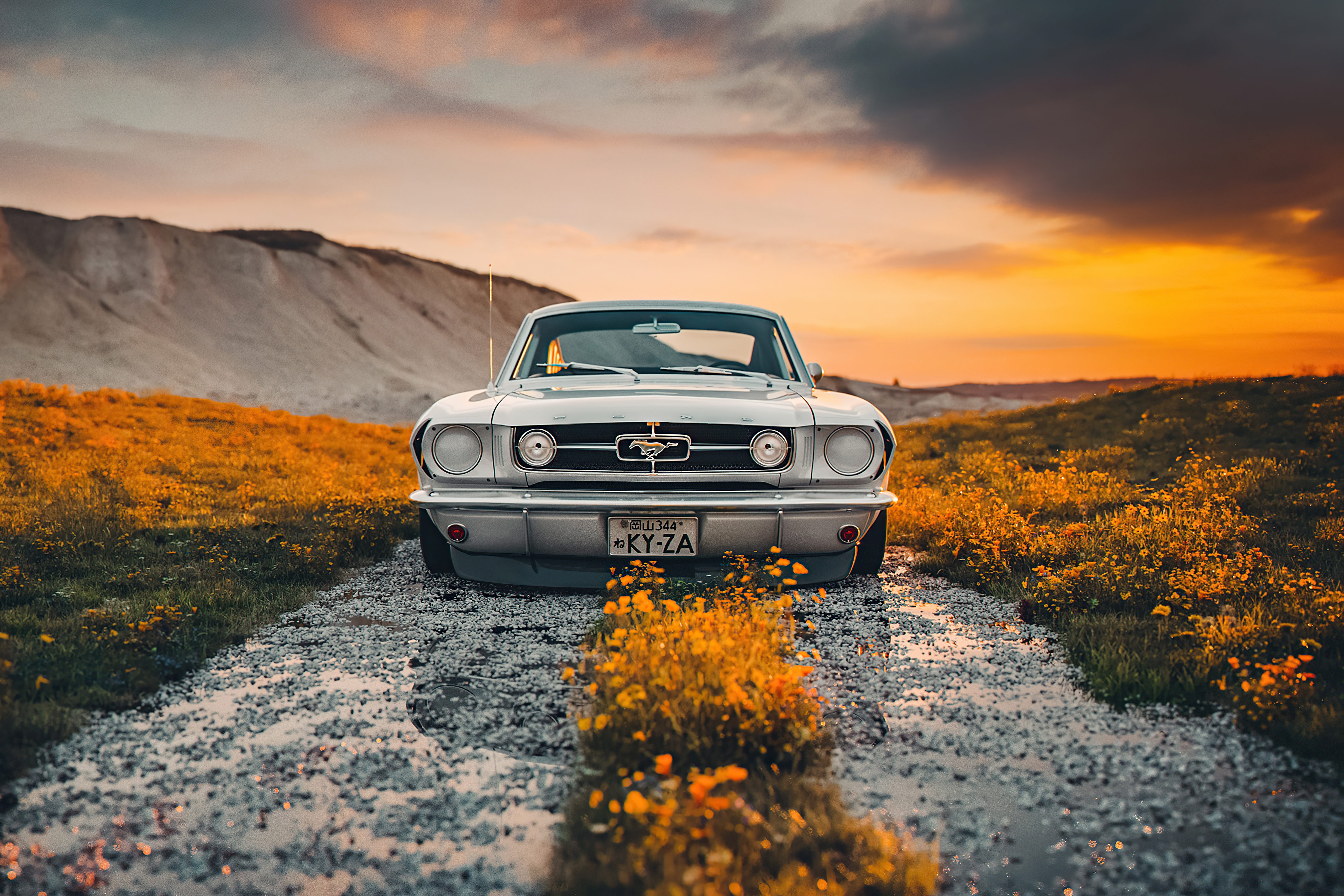Car Vehicle Ford Outdoors Ford Mustang Ford Mustang GT 350 Silver Cars Numbers Plants Landscape 5120x3413