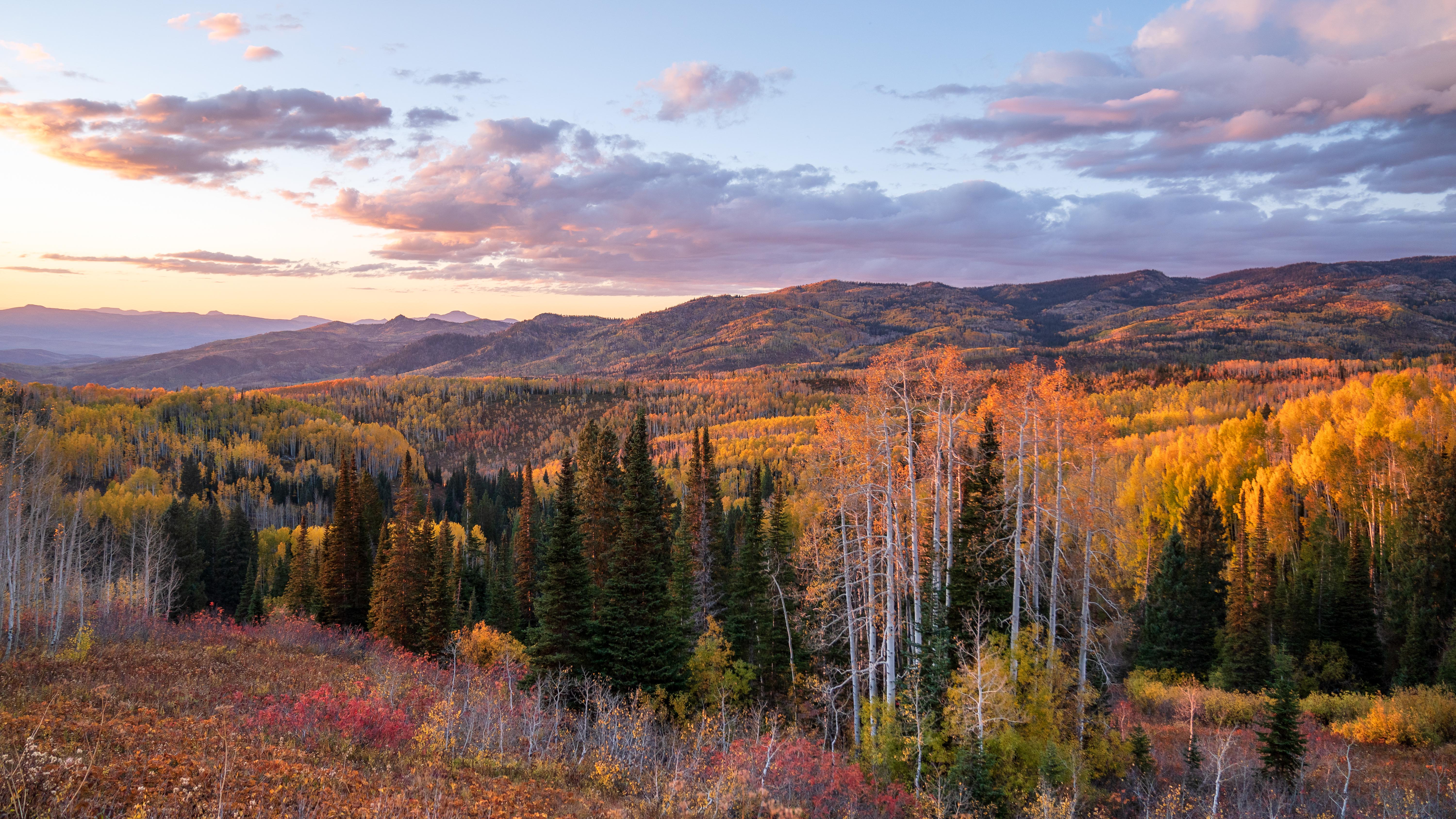 Nature Landscape Forest Trees Fall Colorado USA 6000x3375