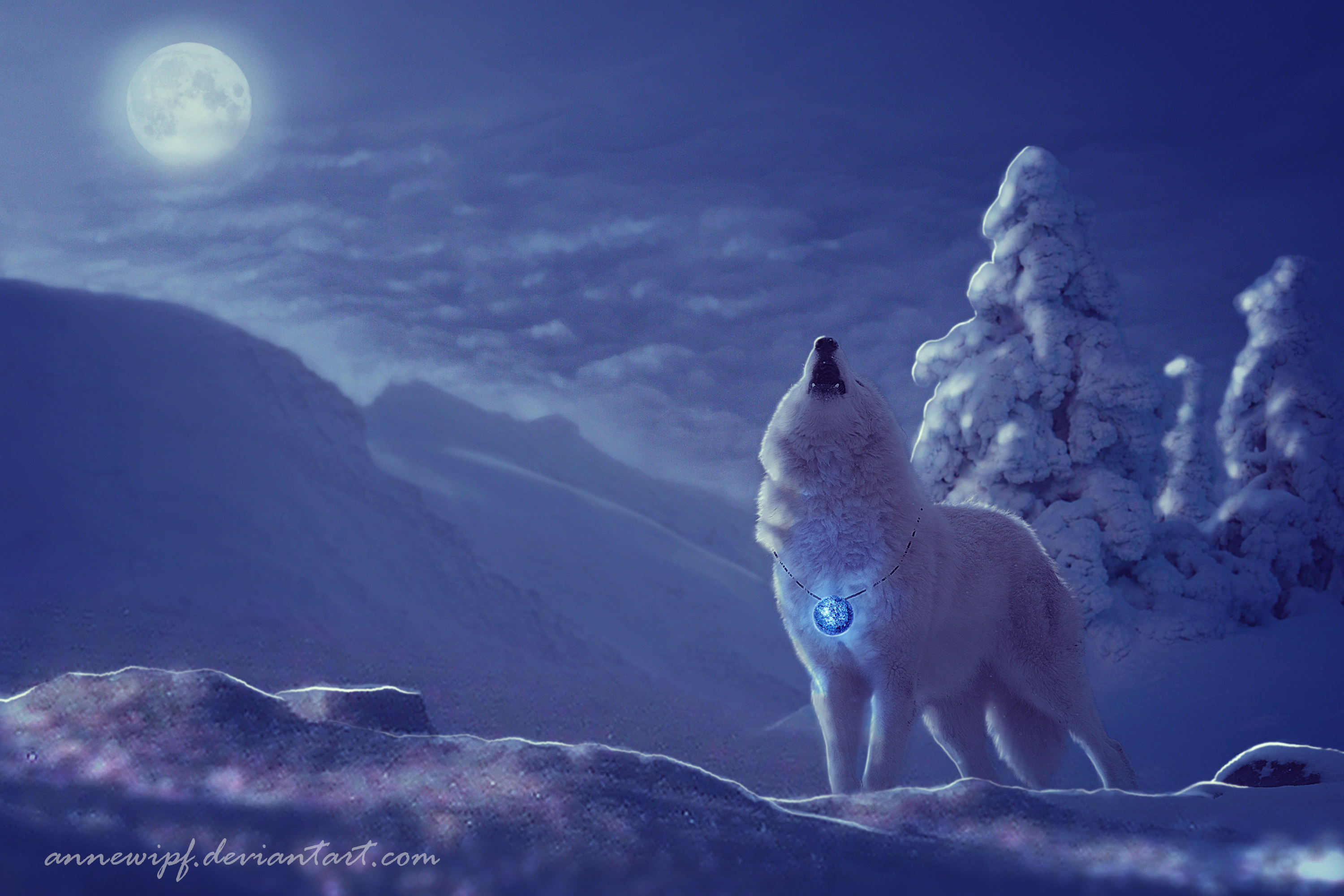 White Wolf Winter Night Snow Moon 3000x2000