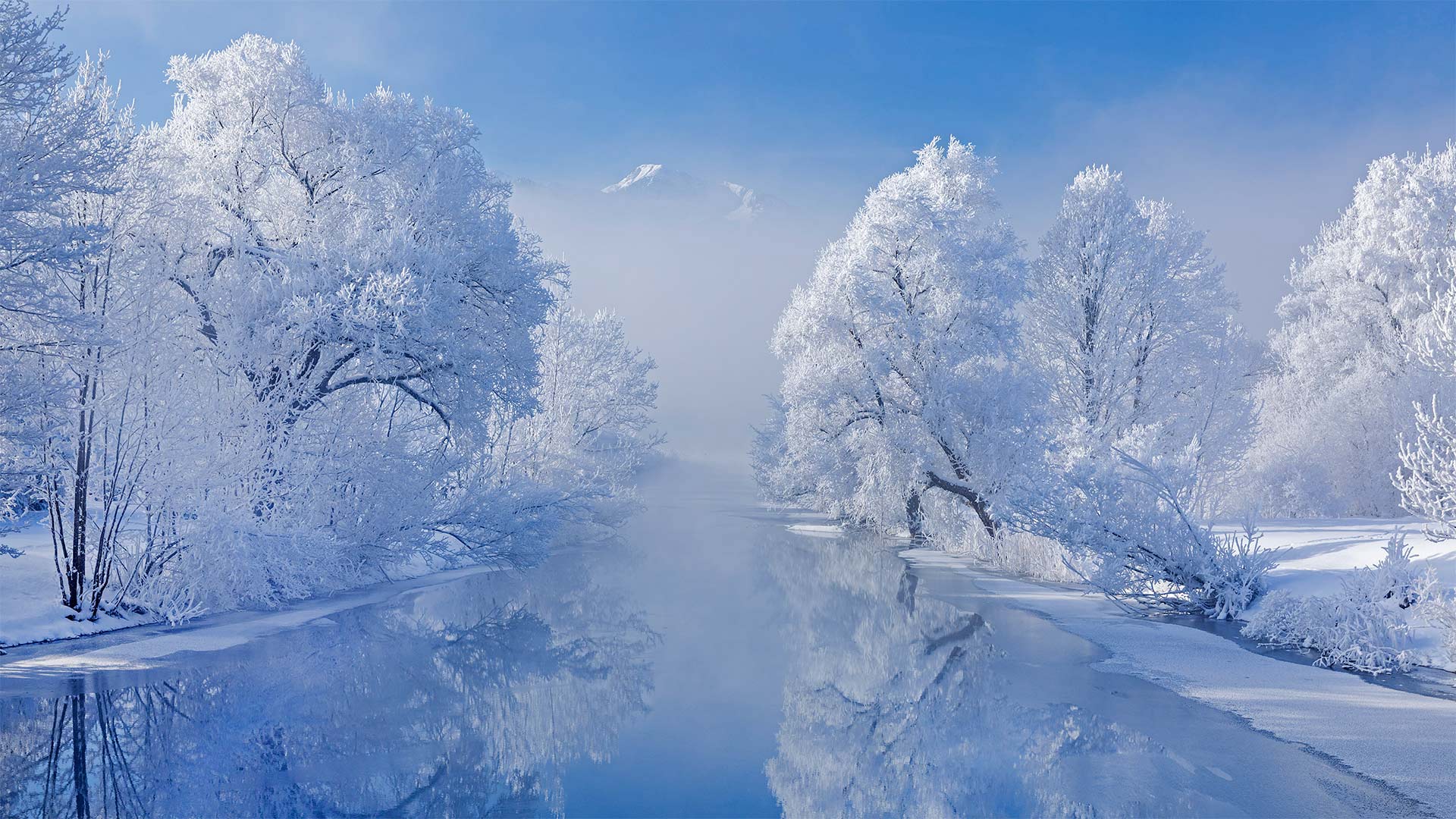 Bing Nature Landscape Trees Snow Frost River Winter 1920x1080