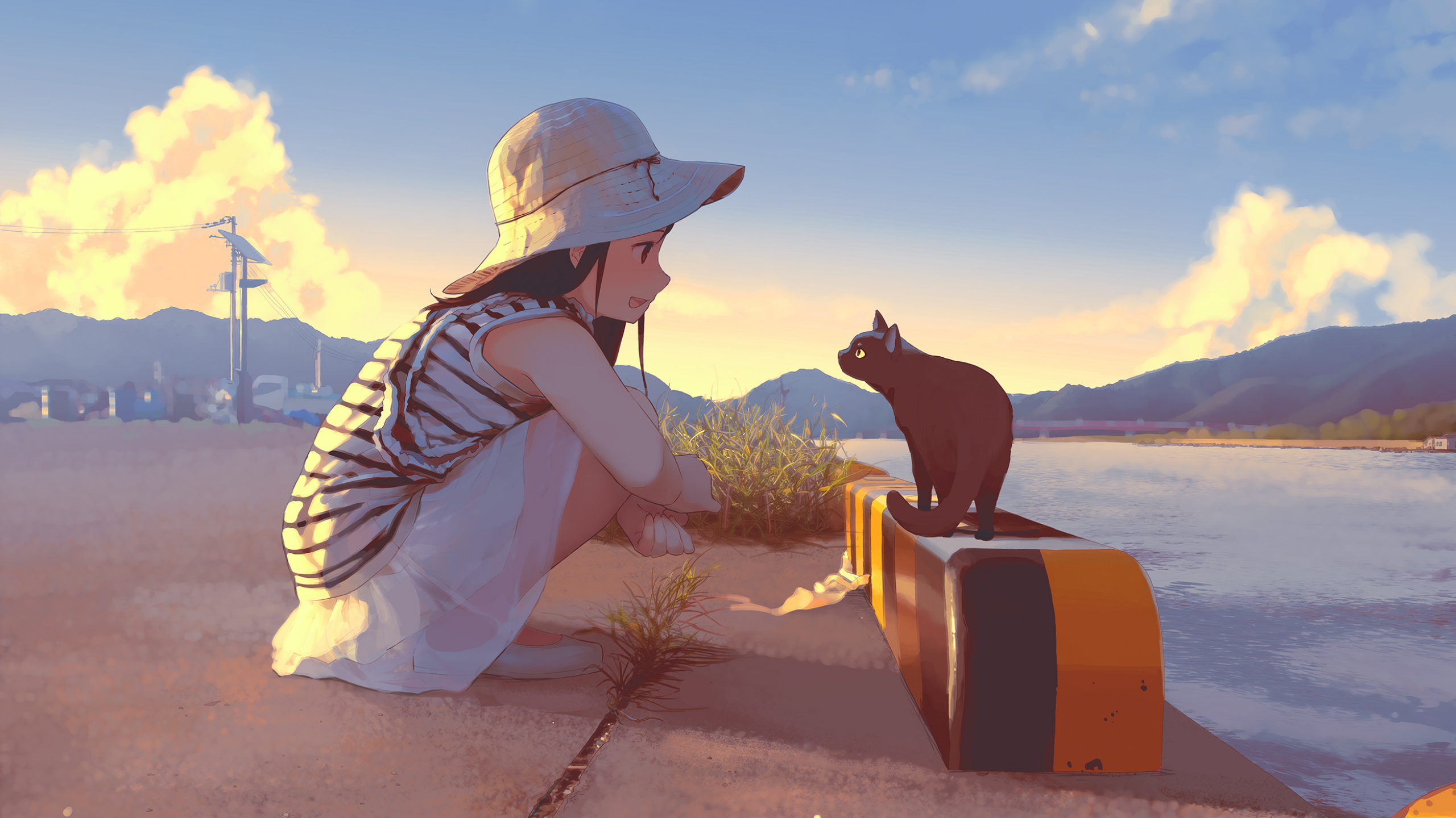 Cat And Girl Cats Mountains Powerlines Clouds Grass Concrete River 2560x1440