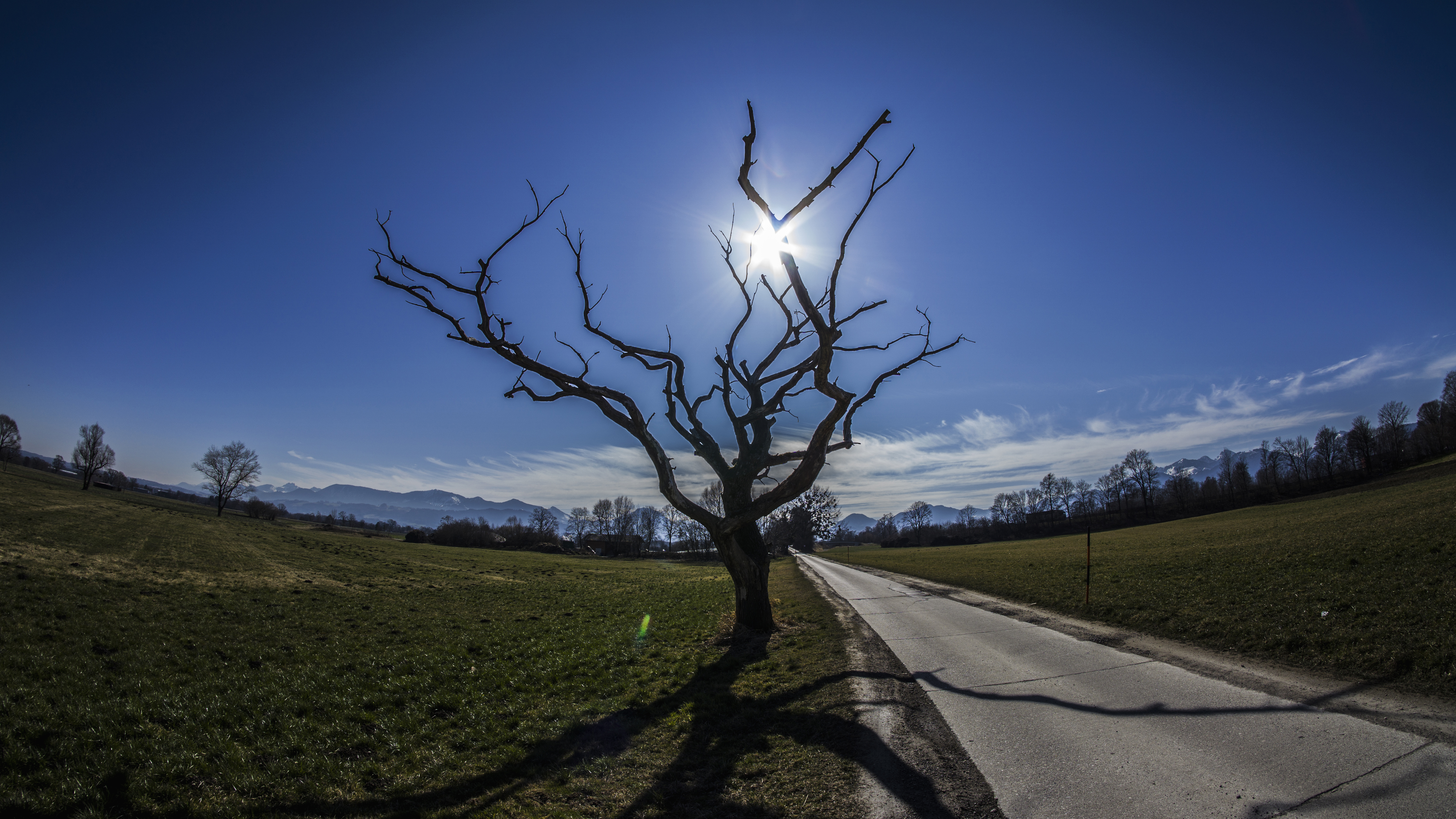 Nature Landscape Trees Dead Trees Road Sun Mountains Fisheye Lens Clouds Sky Outdoors 6000x3376