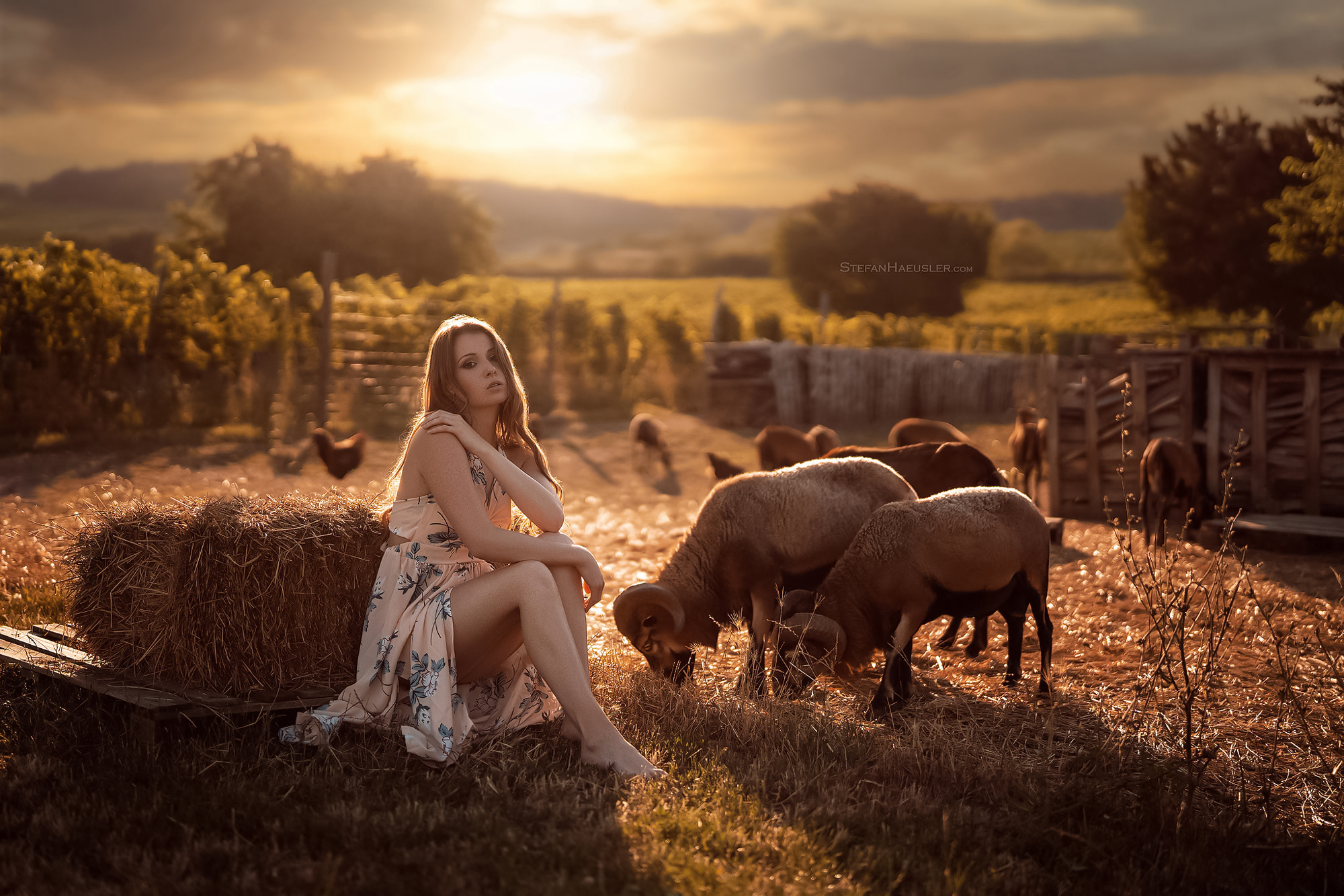 Stefan Hausler Women Brunette Dress Barefoot Sunset Haystacks Animals Farm Viktoria Stephanie 2000x1334