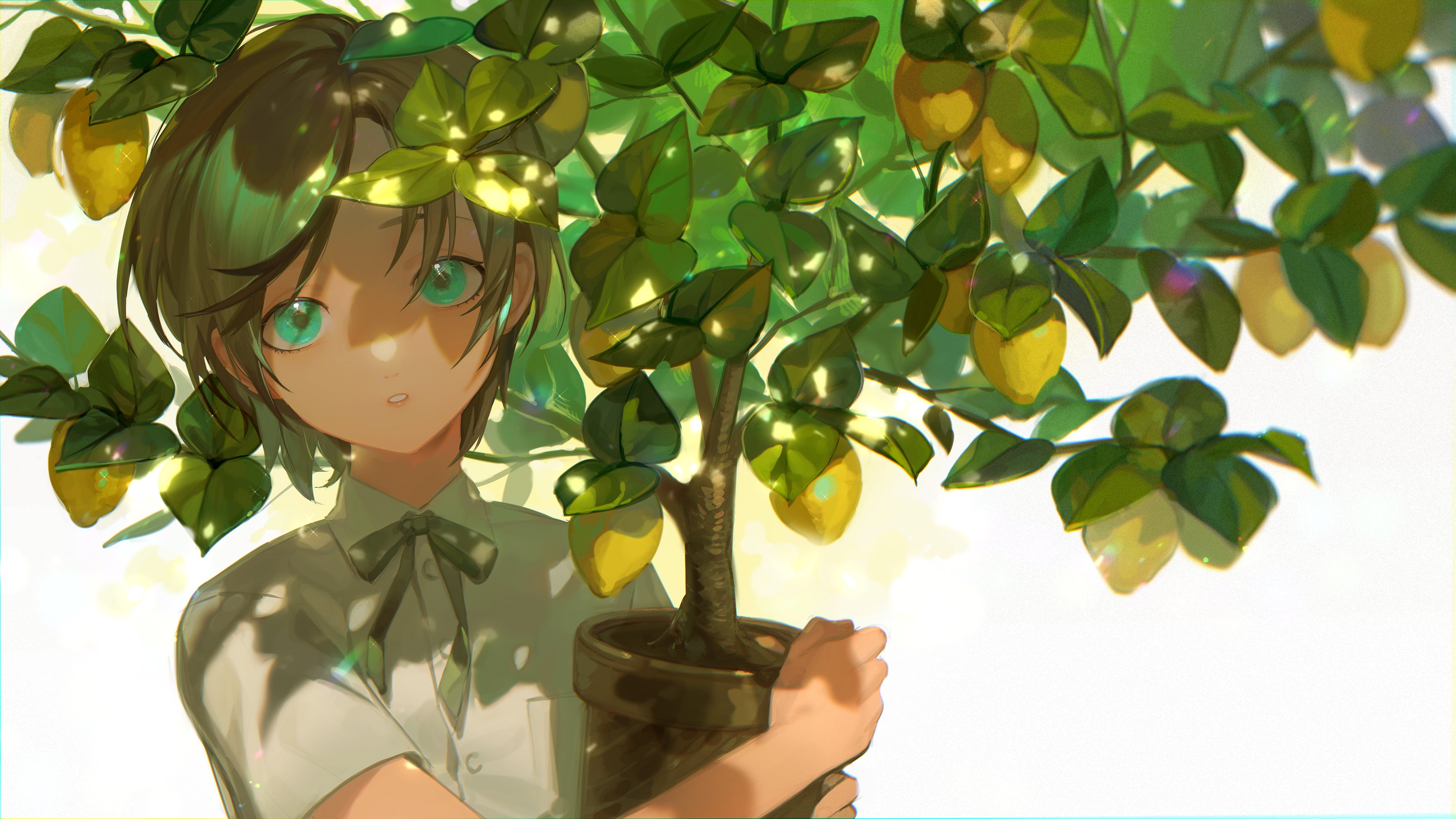 Anime Anime Girls Short Hair Green Eyes Flowerpot Shirt White Background Lemons Looking At Viewer 3556x2000