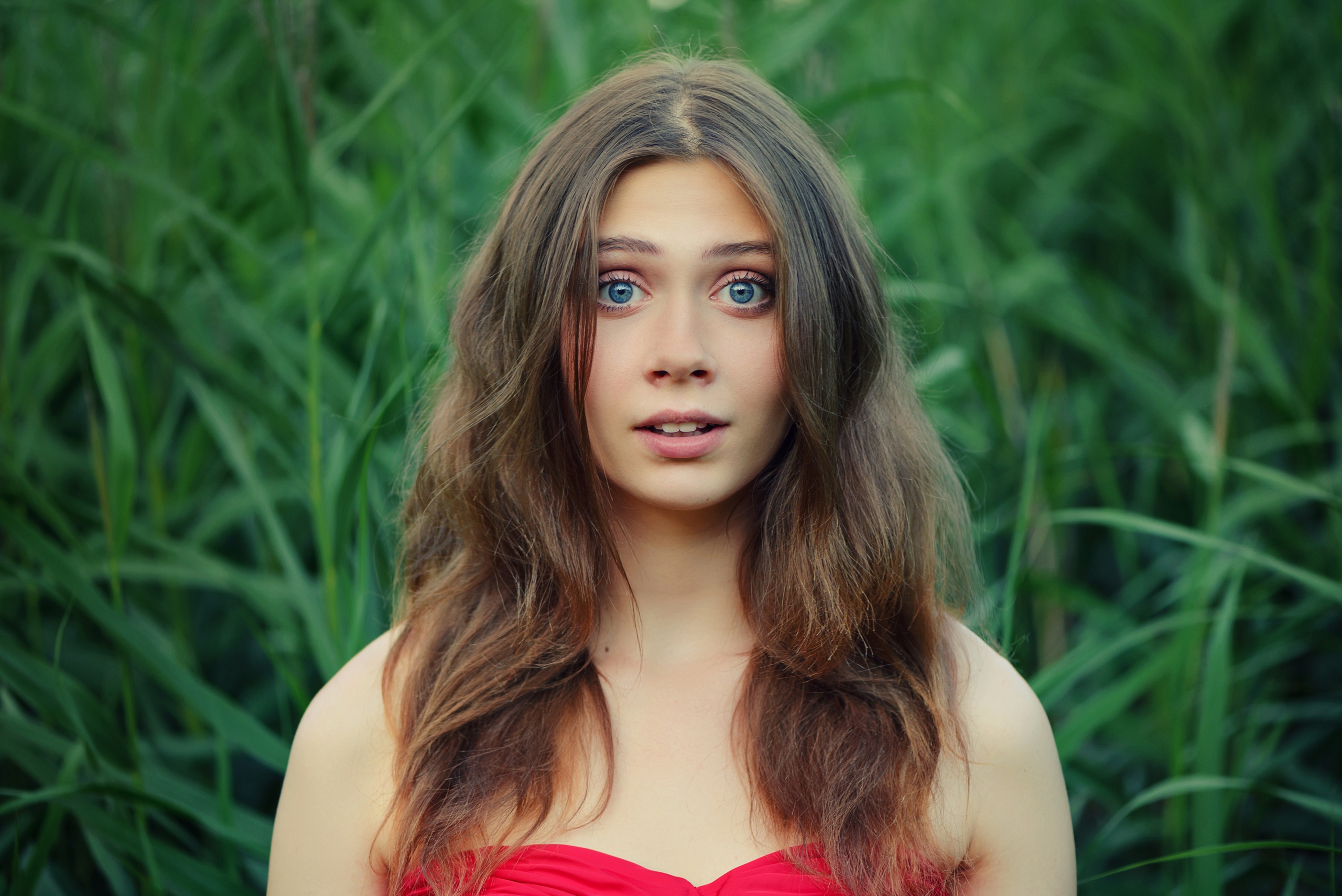 Women Model Brunette Looking At Viewer Portrait Face Blue Eyes Bare Shoulders Depth Of Field 7704