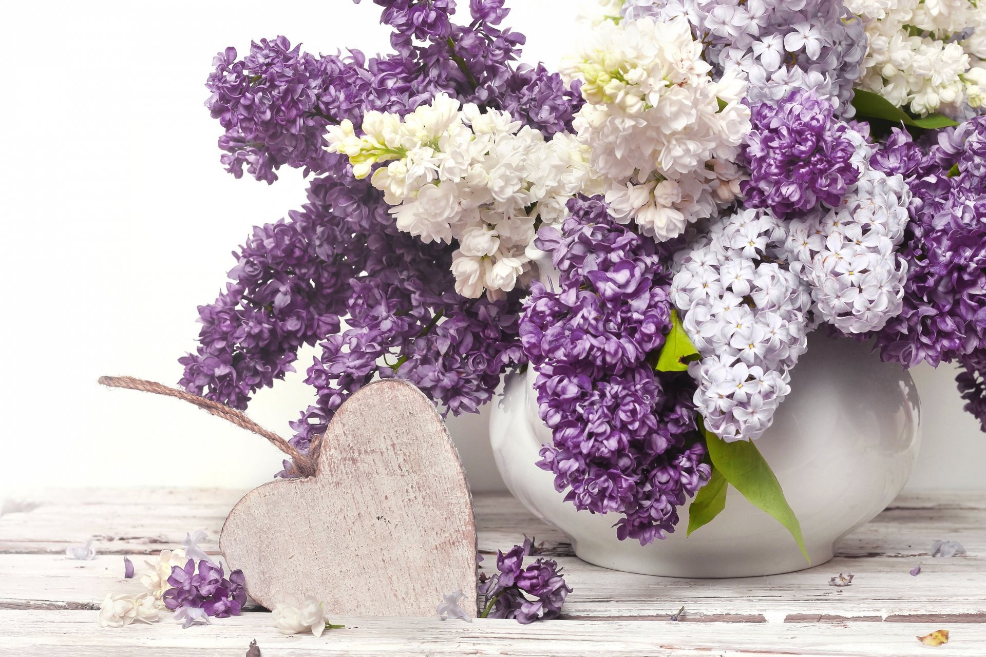 Heart Lilac Purple Flower Vase White Flower 1920x1280